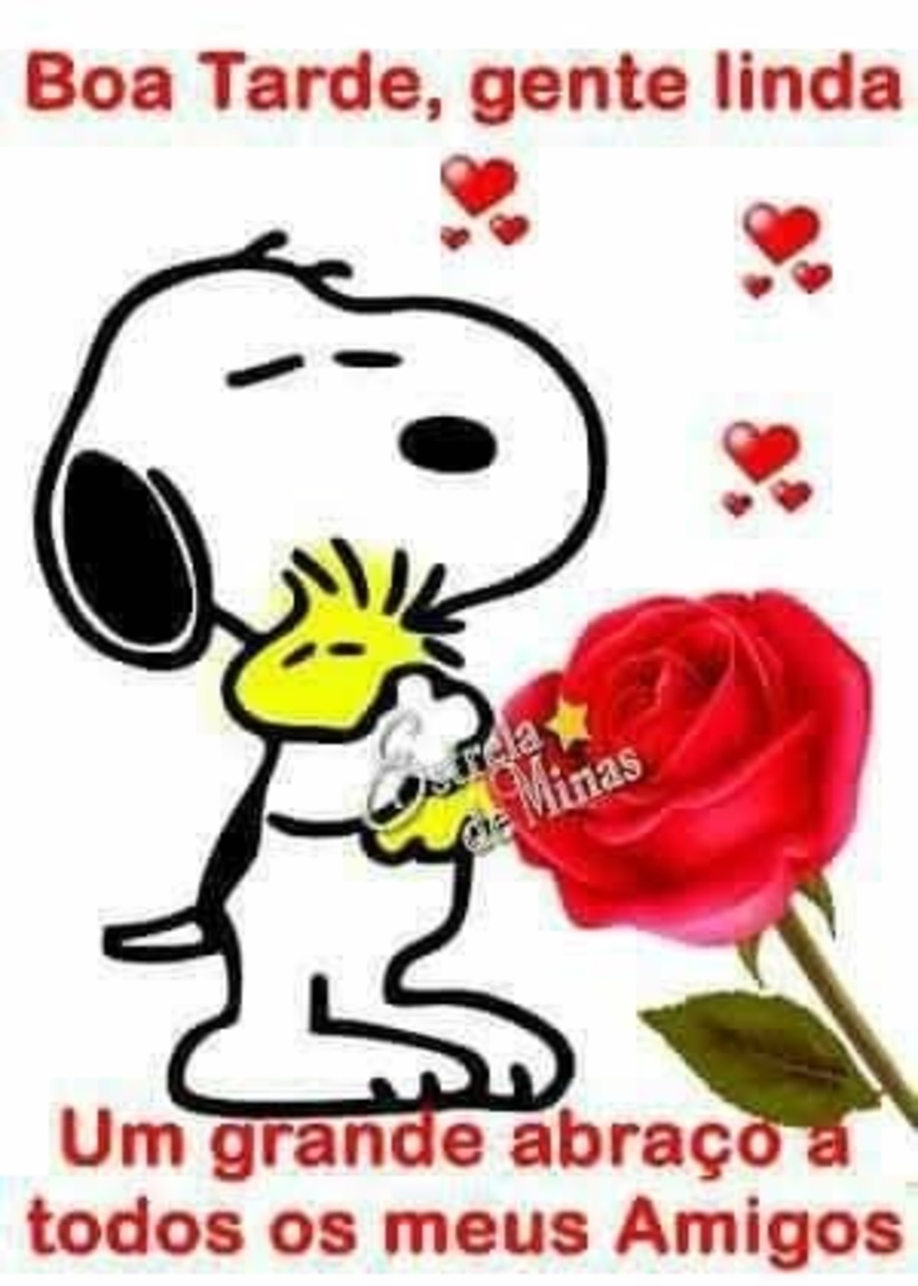 Boa Tarde com Snoopy 87