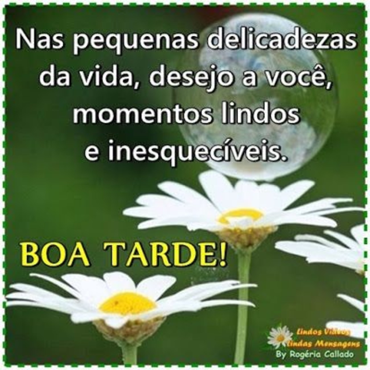 Boa Tarde com flores mensagens 49