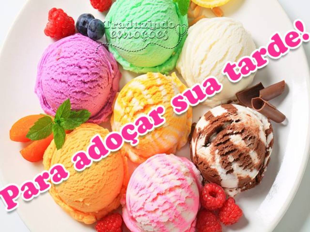 Boa Tarde engraçadas Imagens Whatsapp 66