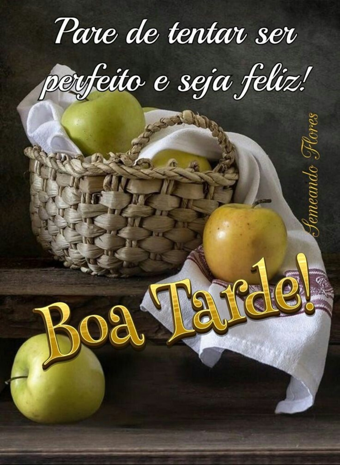 Boa Tarde engraçadas Imagens Whatsapp 70