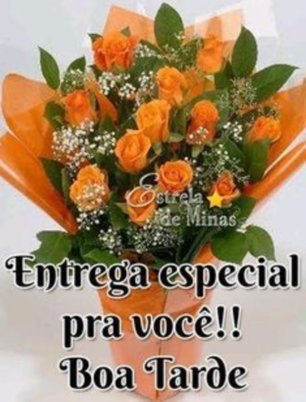 Boa Tarde especial 108