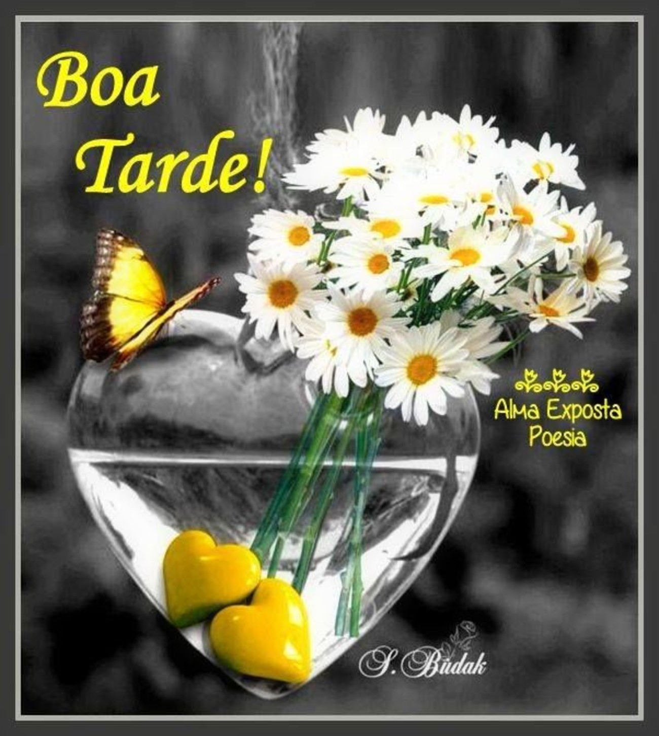 Boa Tarde imagens para Facebook 193