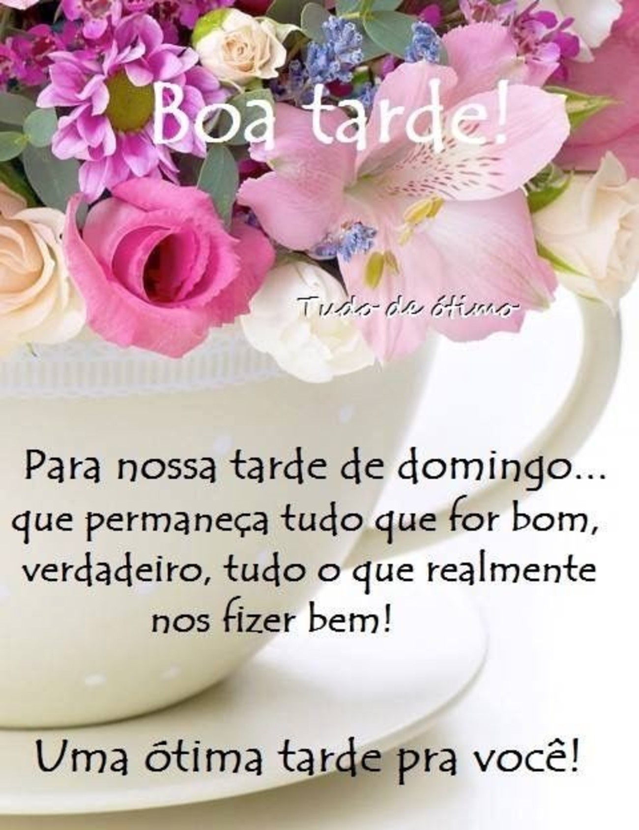 Boa Tarde linda 245