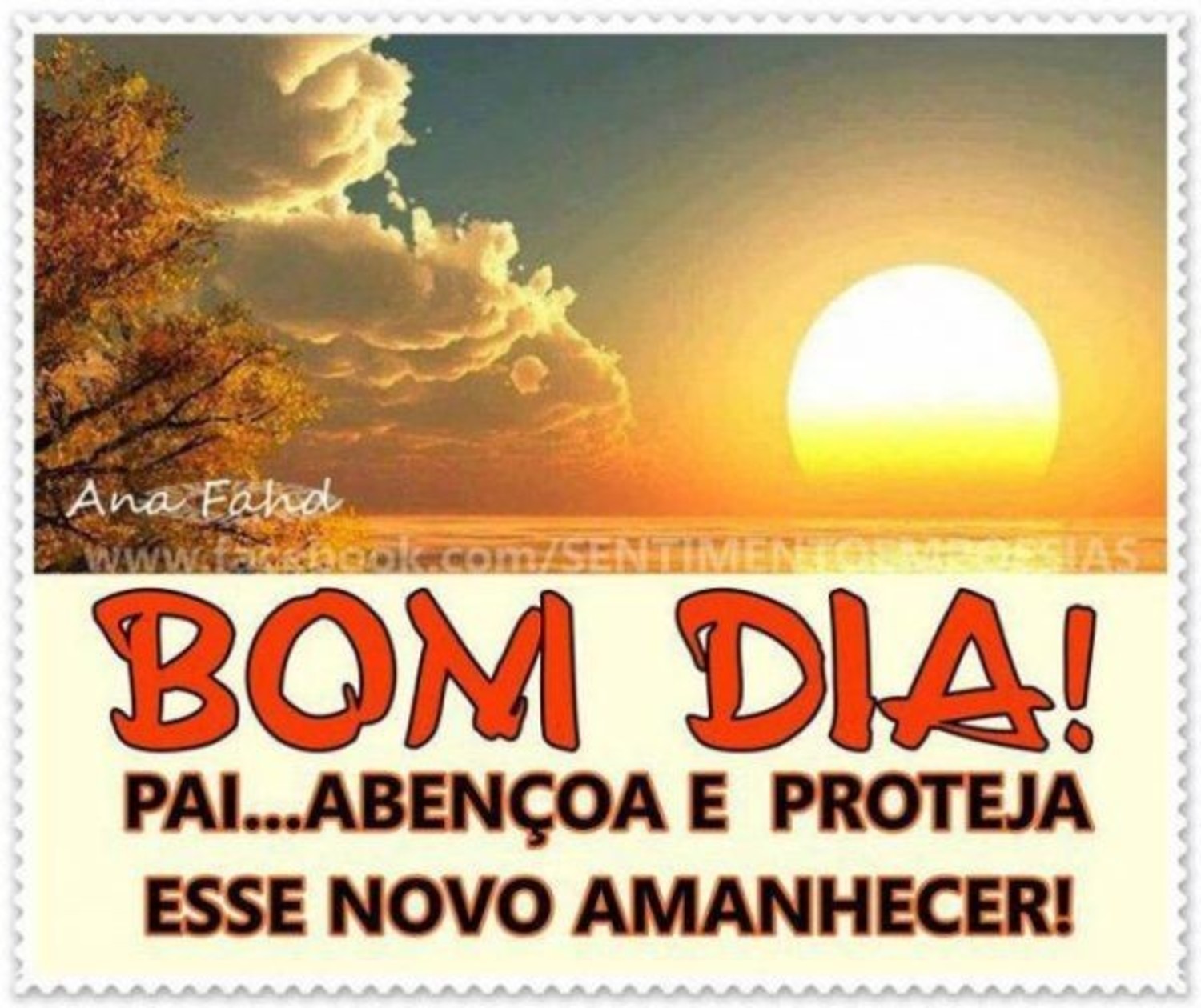 Bom Dia Belas Imagens Facebook Whatsapp 6