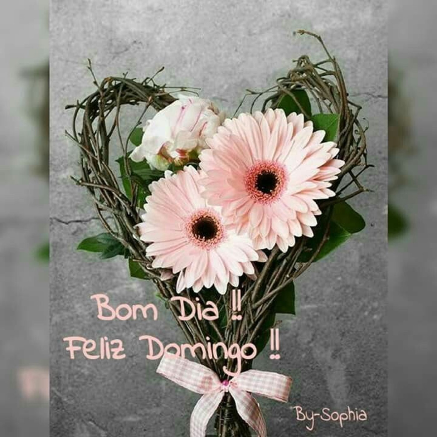 Bom Dia Feliz Domingo 65