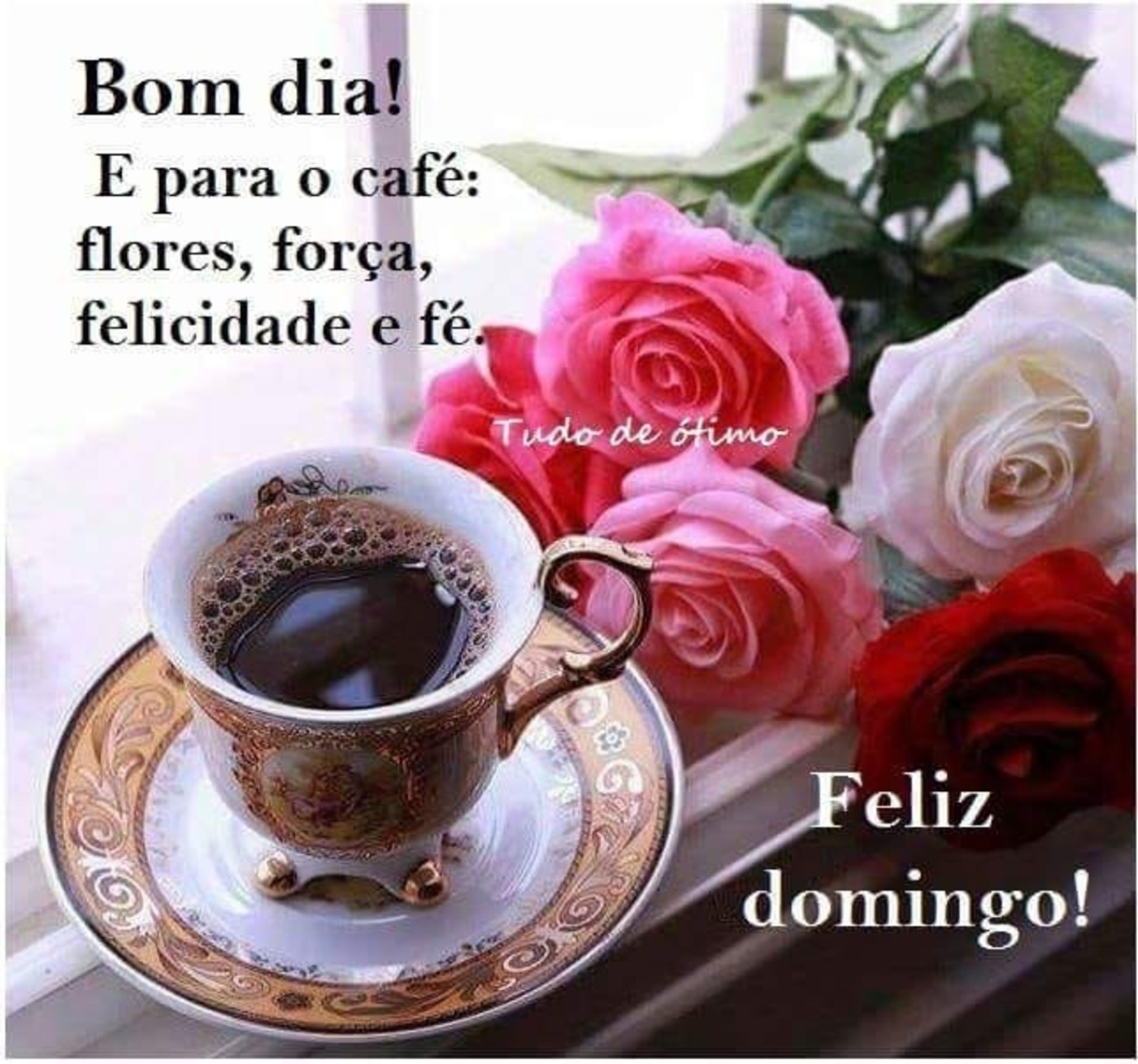 Bom Dia Feliz Domingo 8