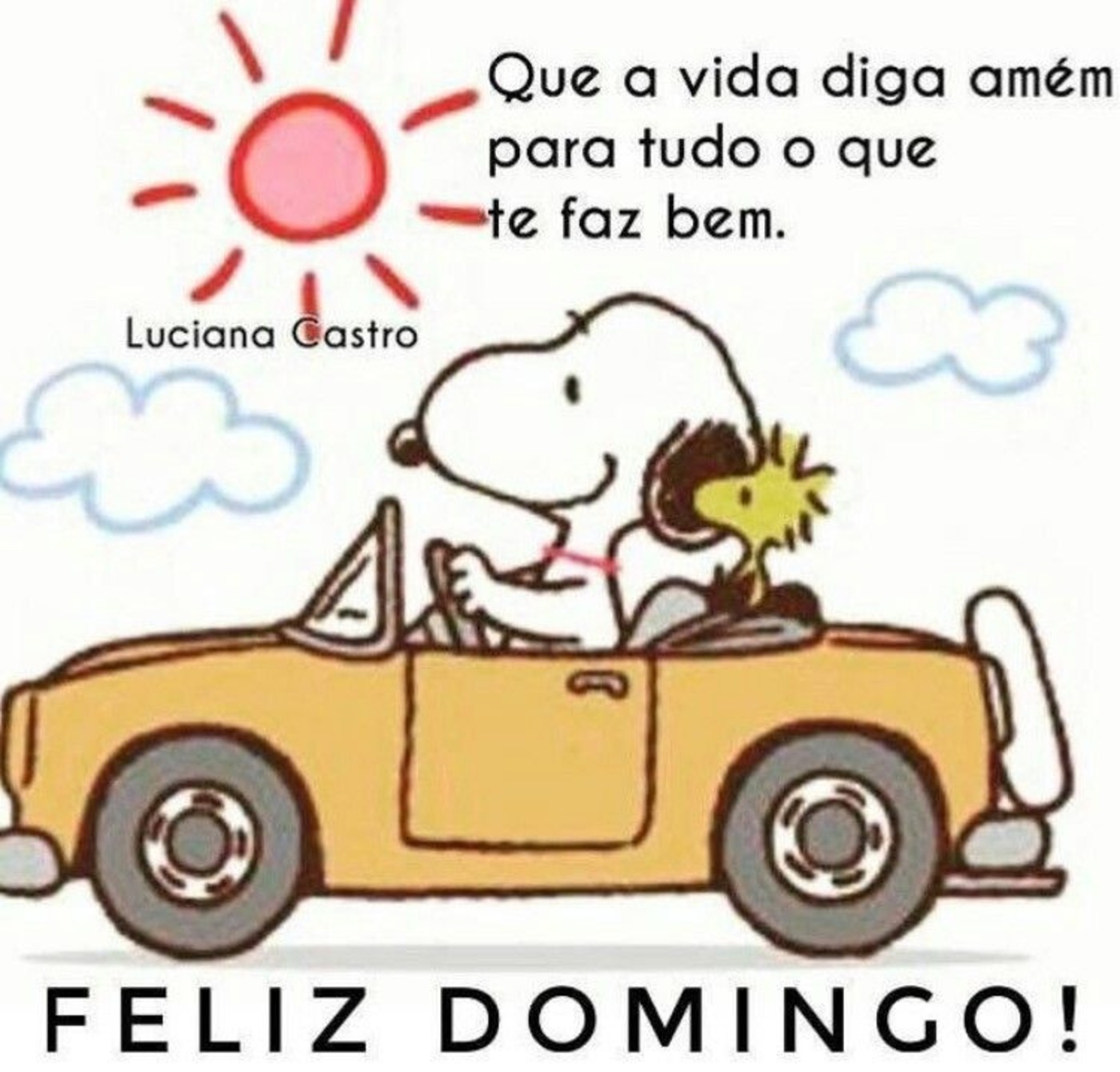 Bom Dia Feliz Domingo 81