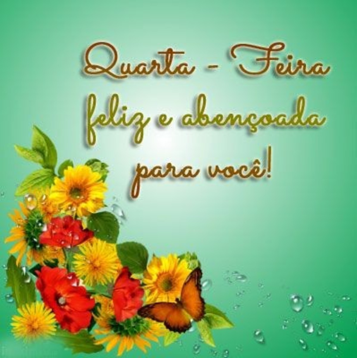 Bom Dia Feliz Quarta-Feira WhatsApp 210