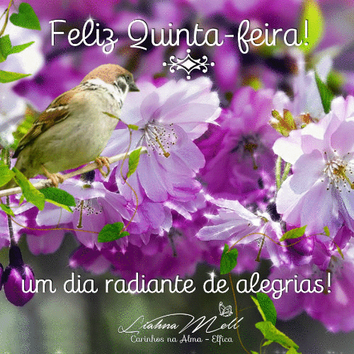 Bom Dia Feliz Quinta-feira GIF 227 Bom Dia Feliz Quinta-feira GIF 227