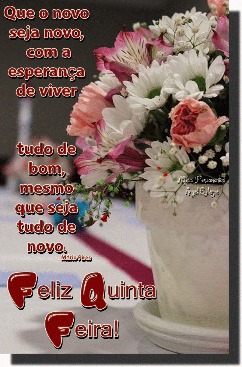 Bom Dia Feliz Quinta-feira GIF 244 Bom Dia Feliz Quinta-feira GIF 244