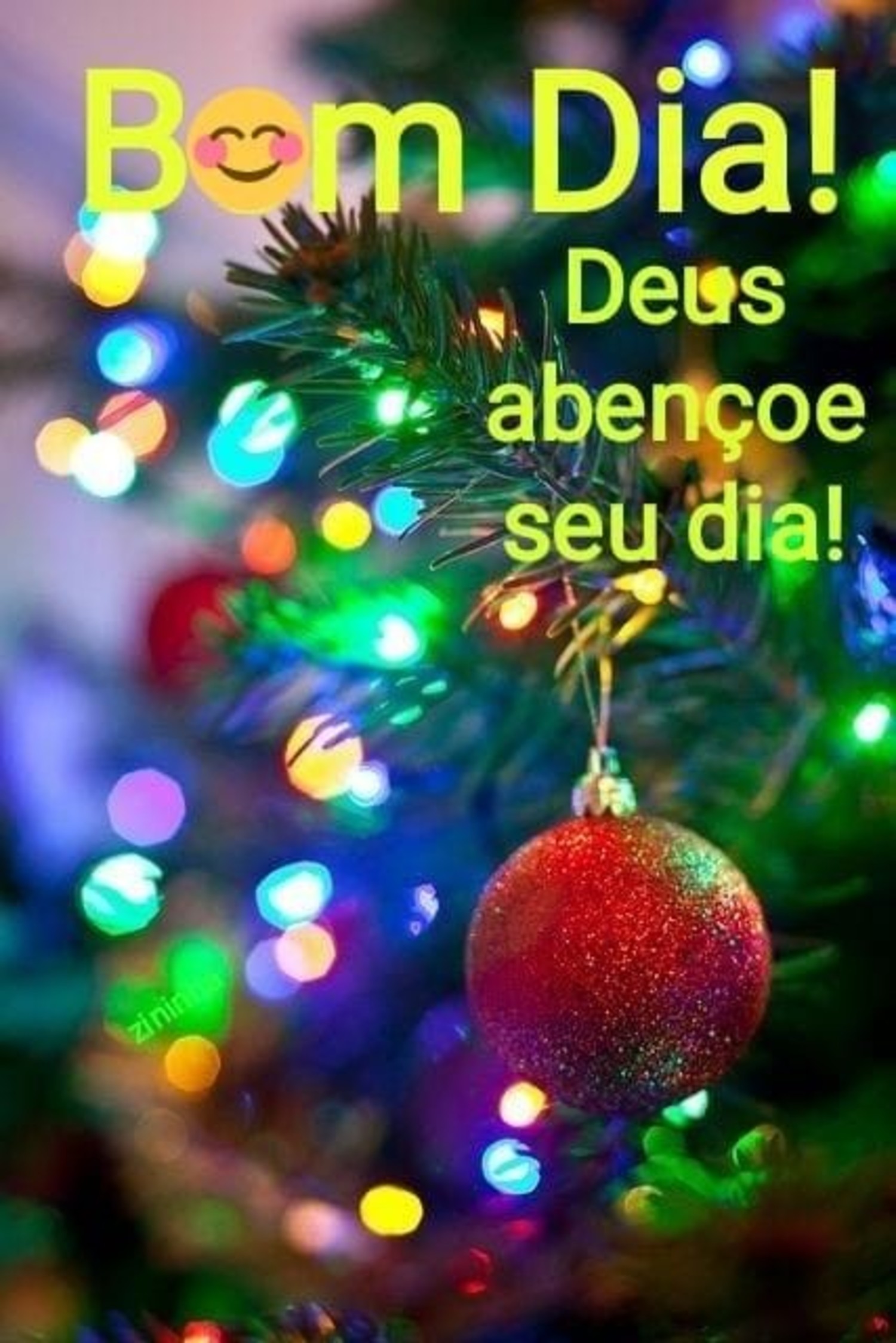 Bom Dia Natal 352