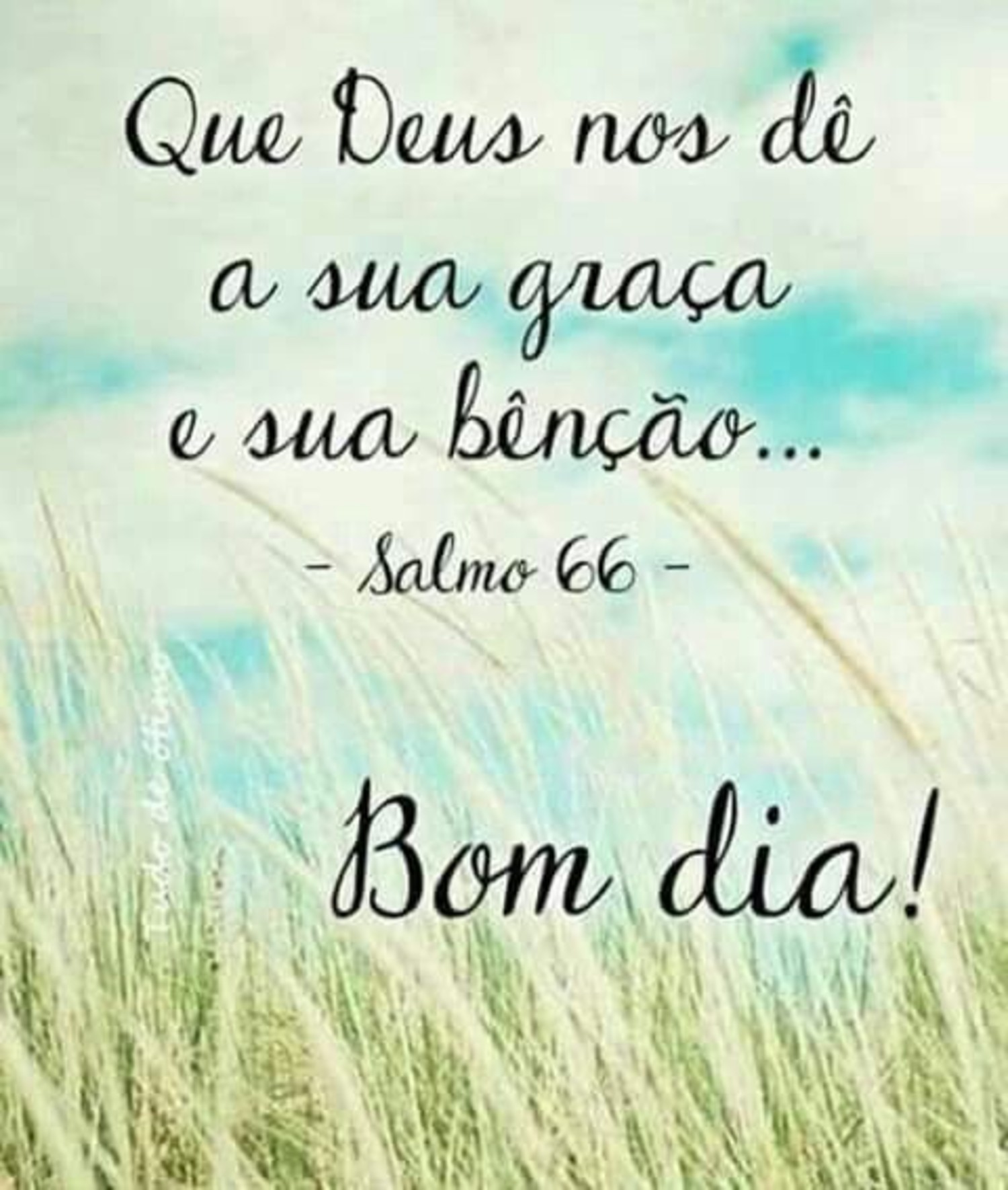 Bom Dia Pinterest 184