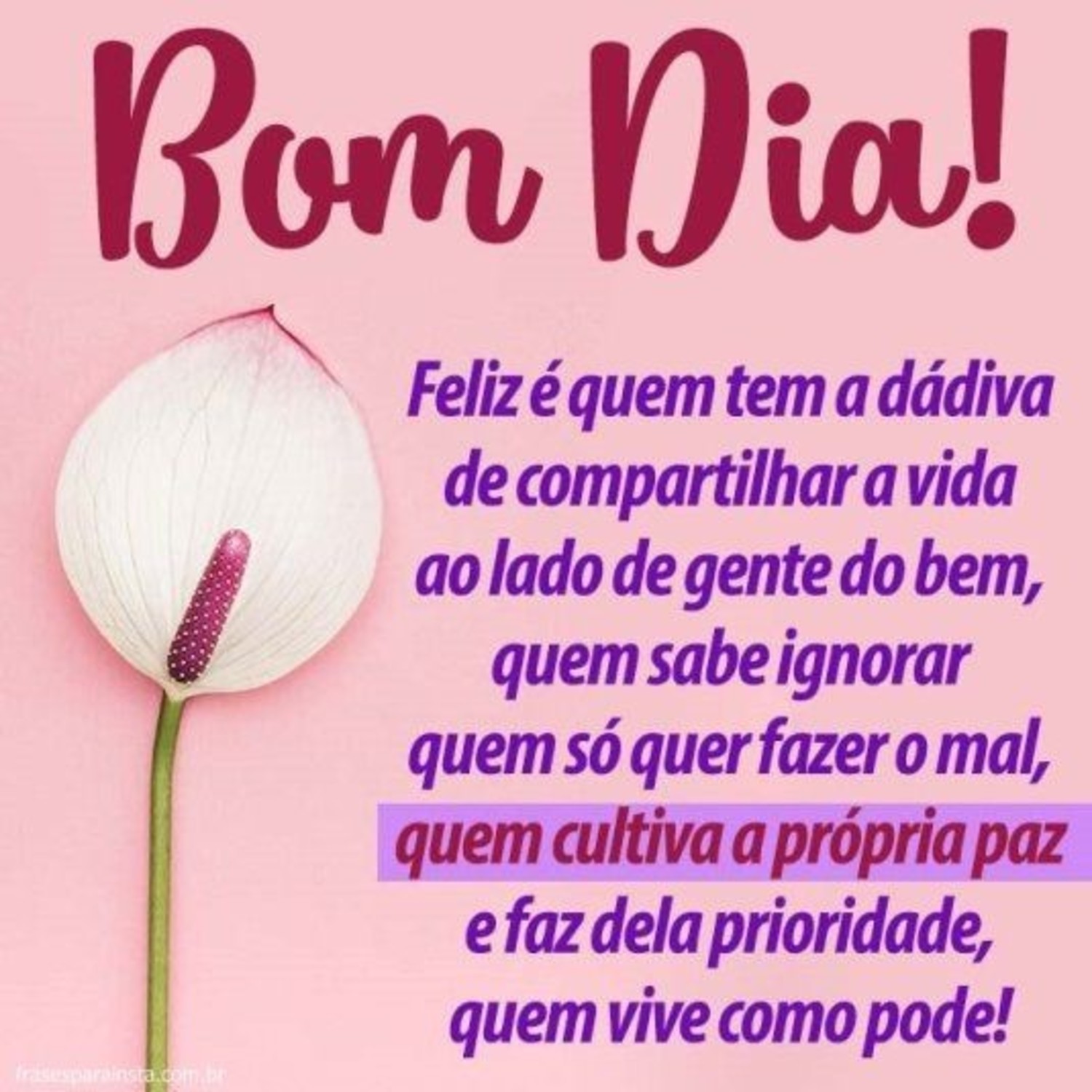 Bom Dia Pinterest 19