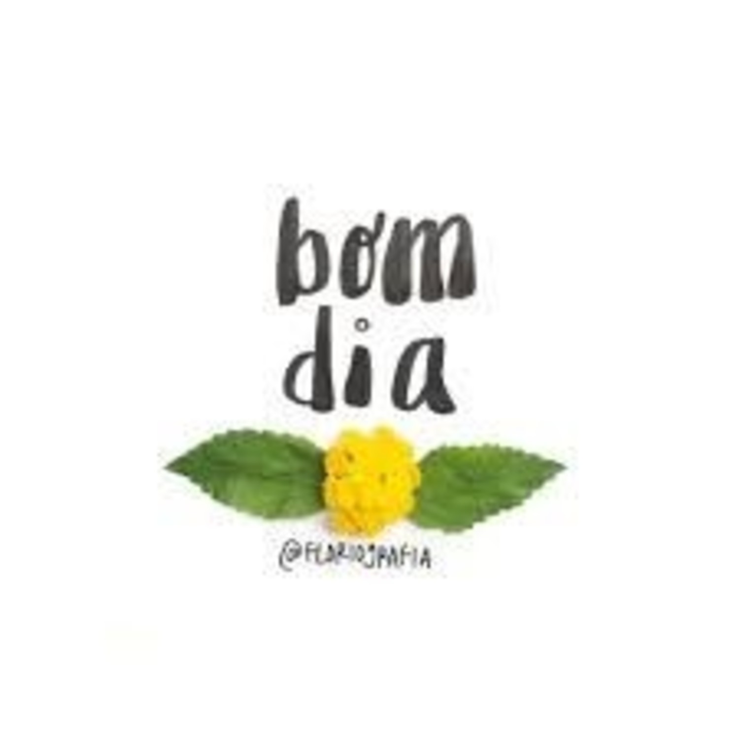 Bom Dia a todos 170