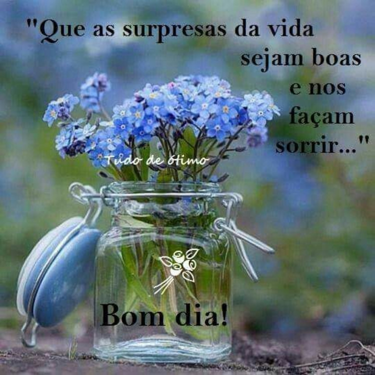 Bom Dia a todos 174