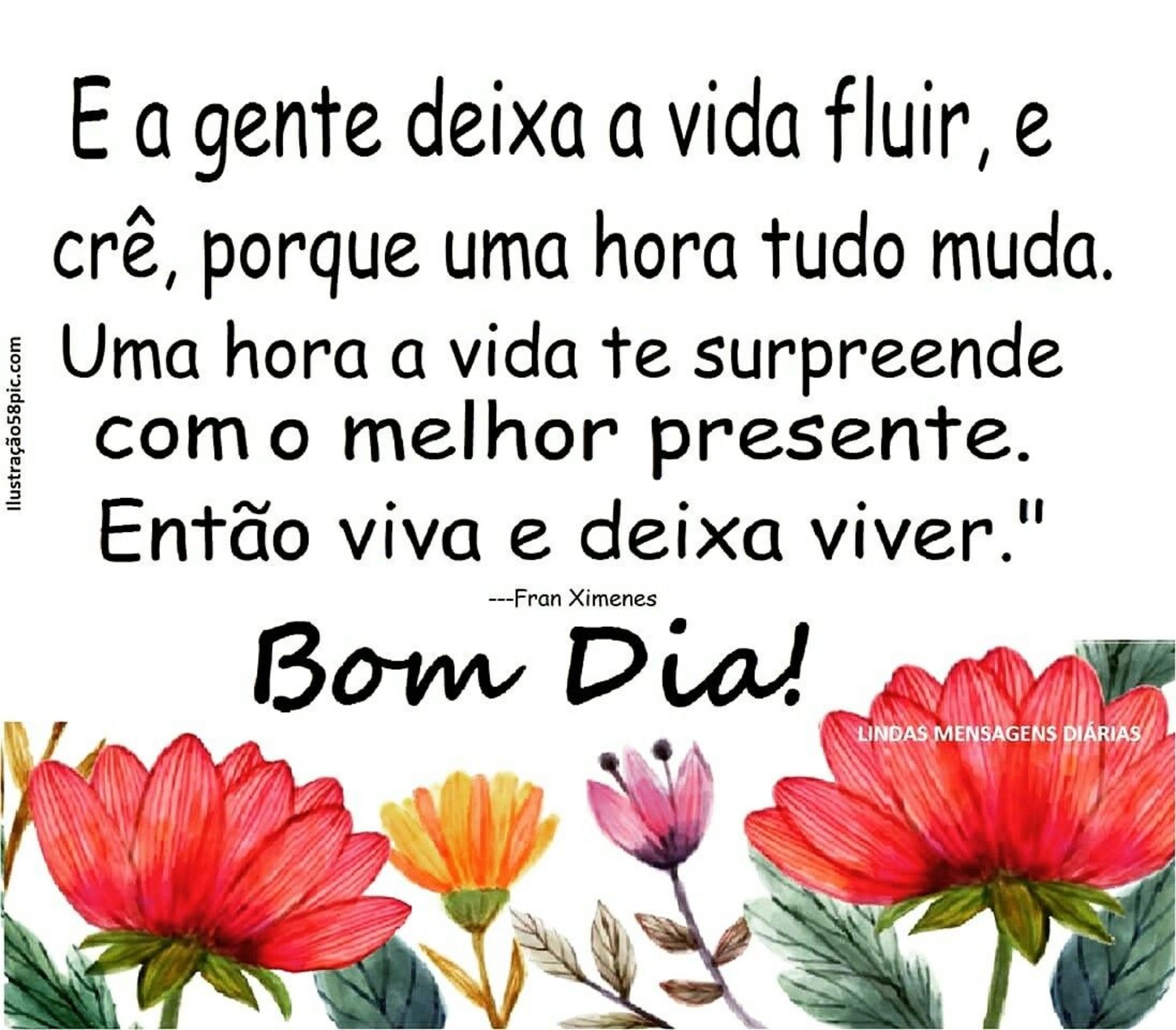 Bom Dia a todos 175