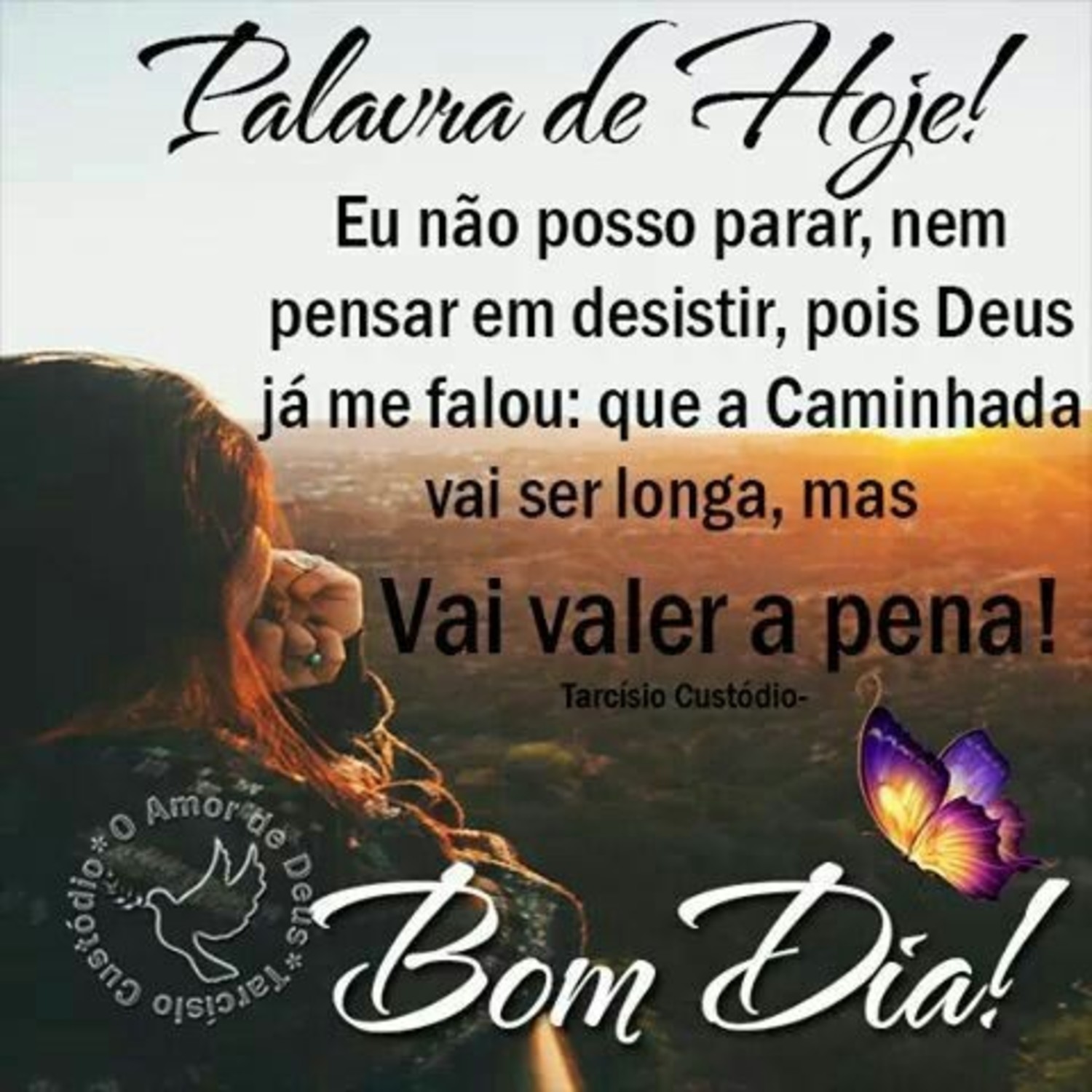 Bom Dia amigos 219