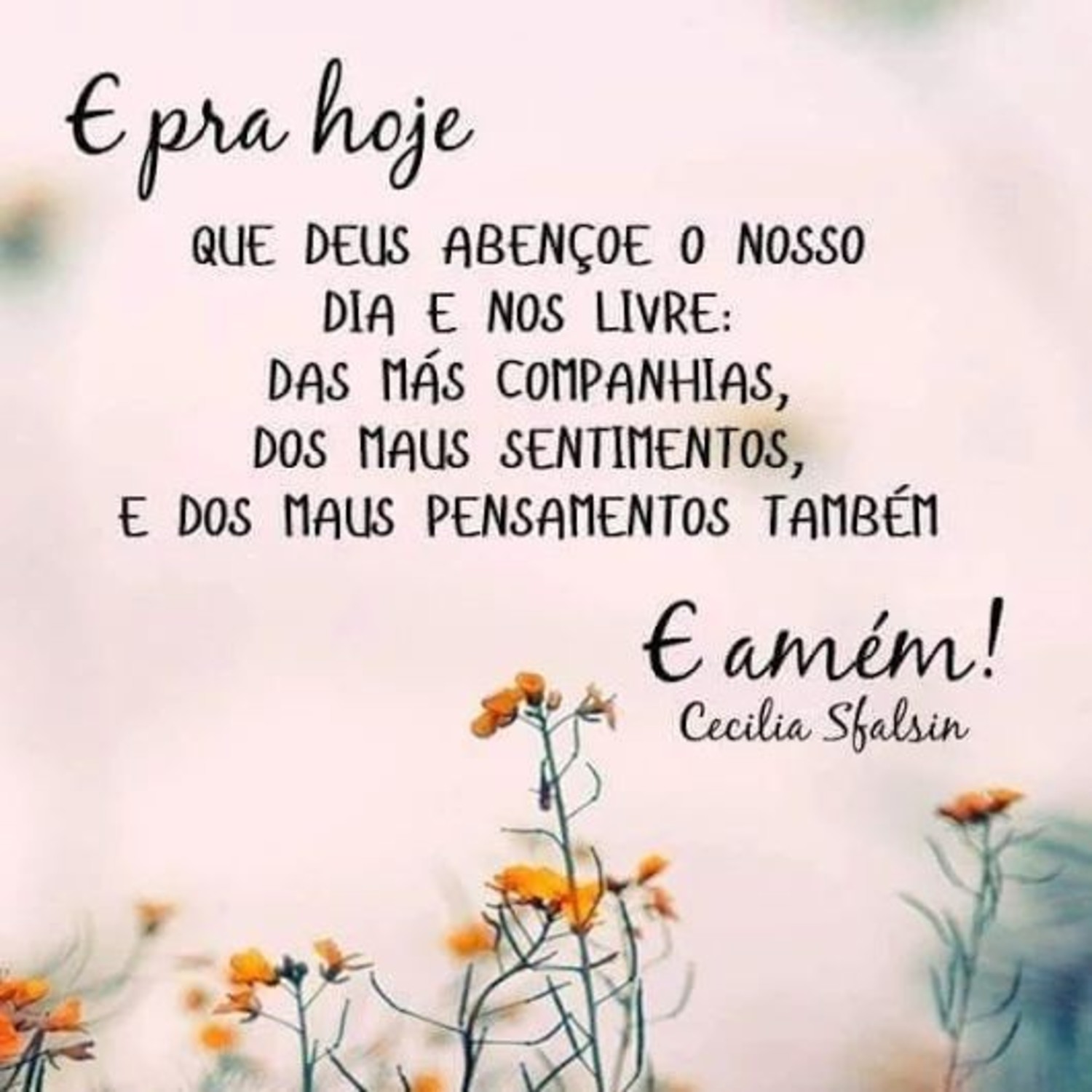 Bom Dia amigos 221