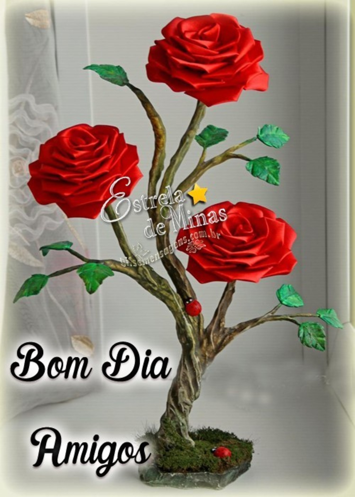 Bom Dia amigos 25