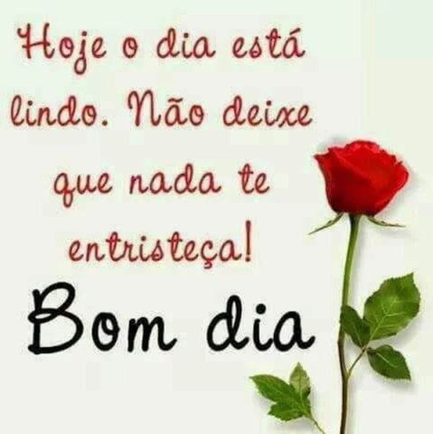 Bom Dia amor 385