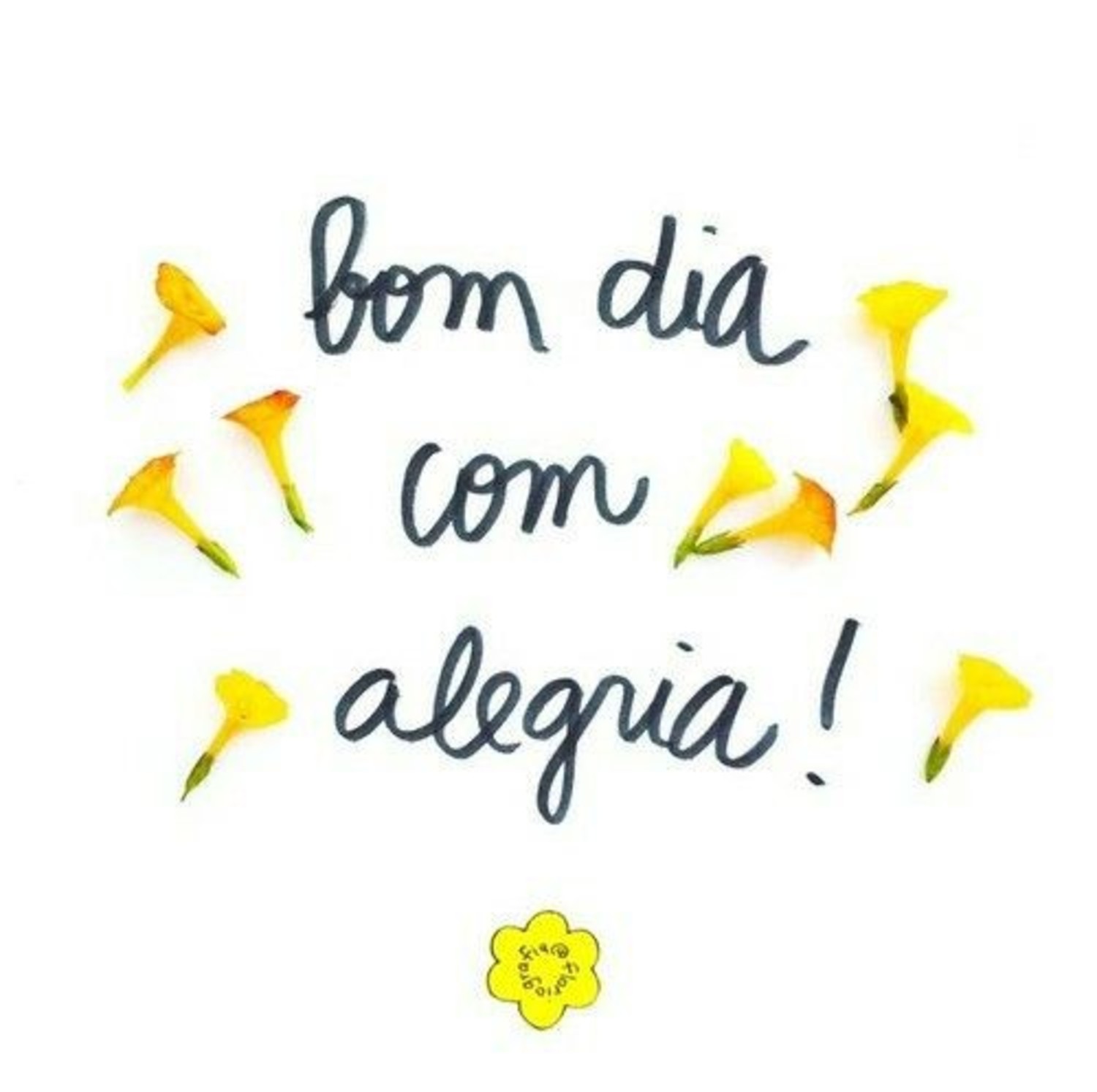 Bom Dia com alegria 43