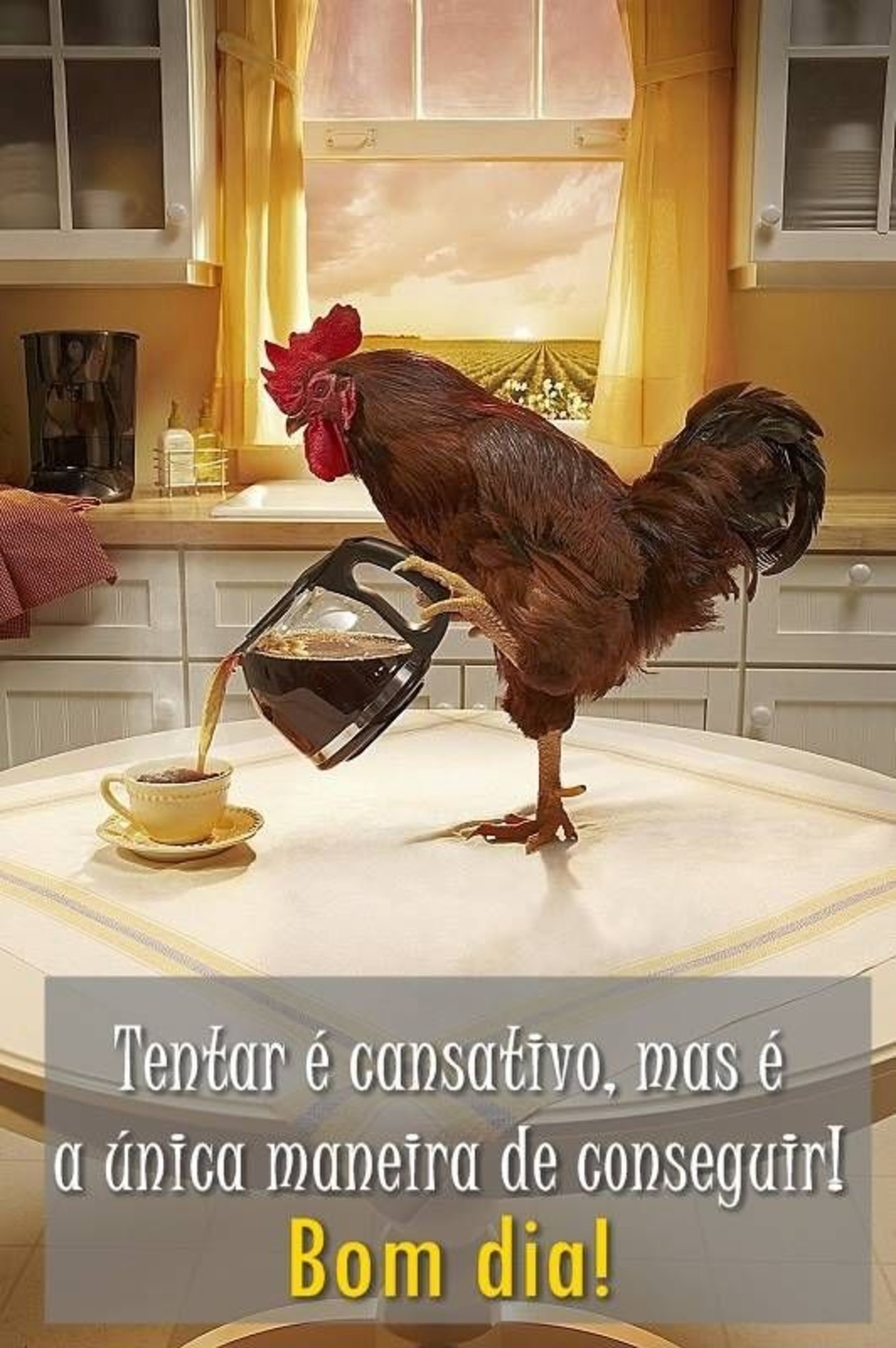 Bom Dia com café 278