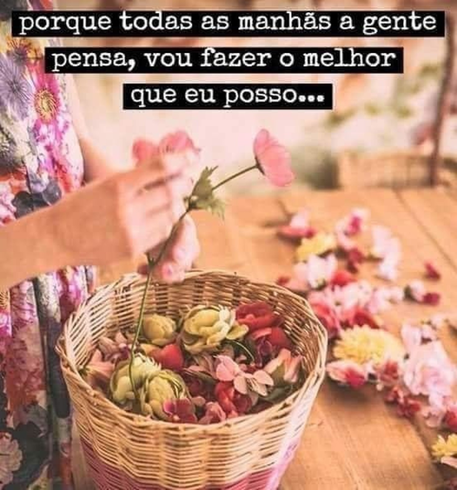 Bom Dia com flores 230