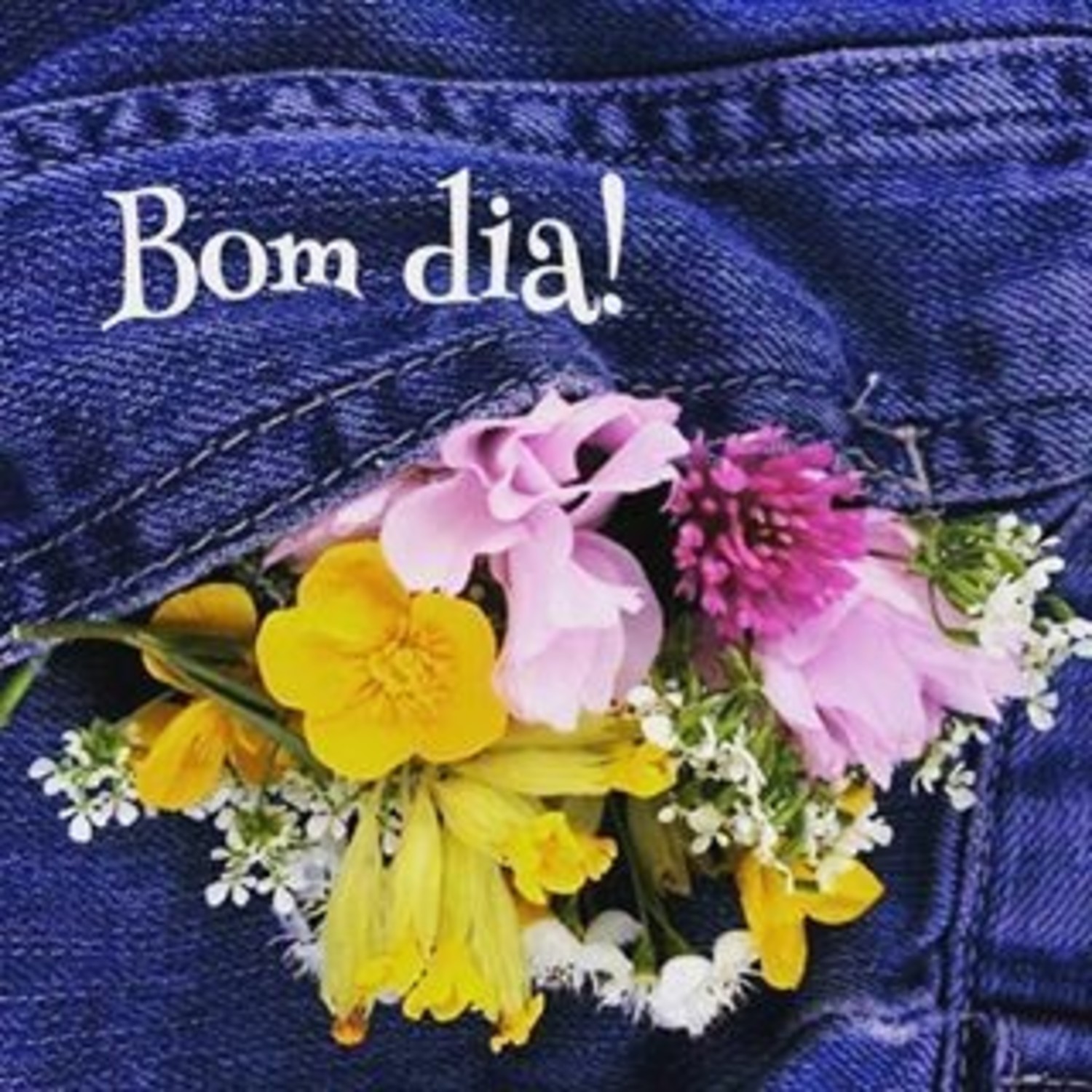 Bom Dia com flores 234