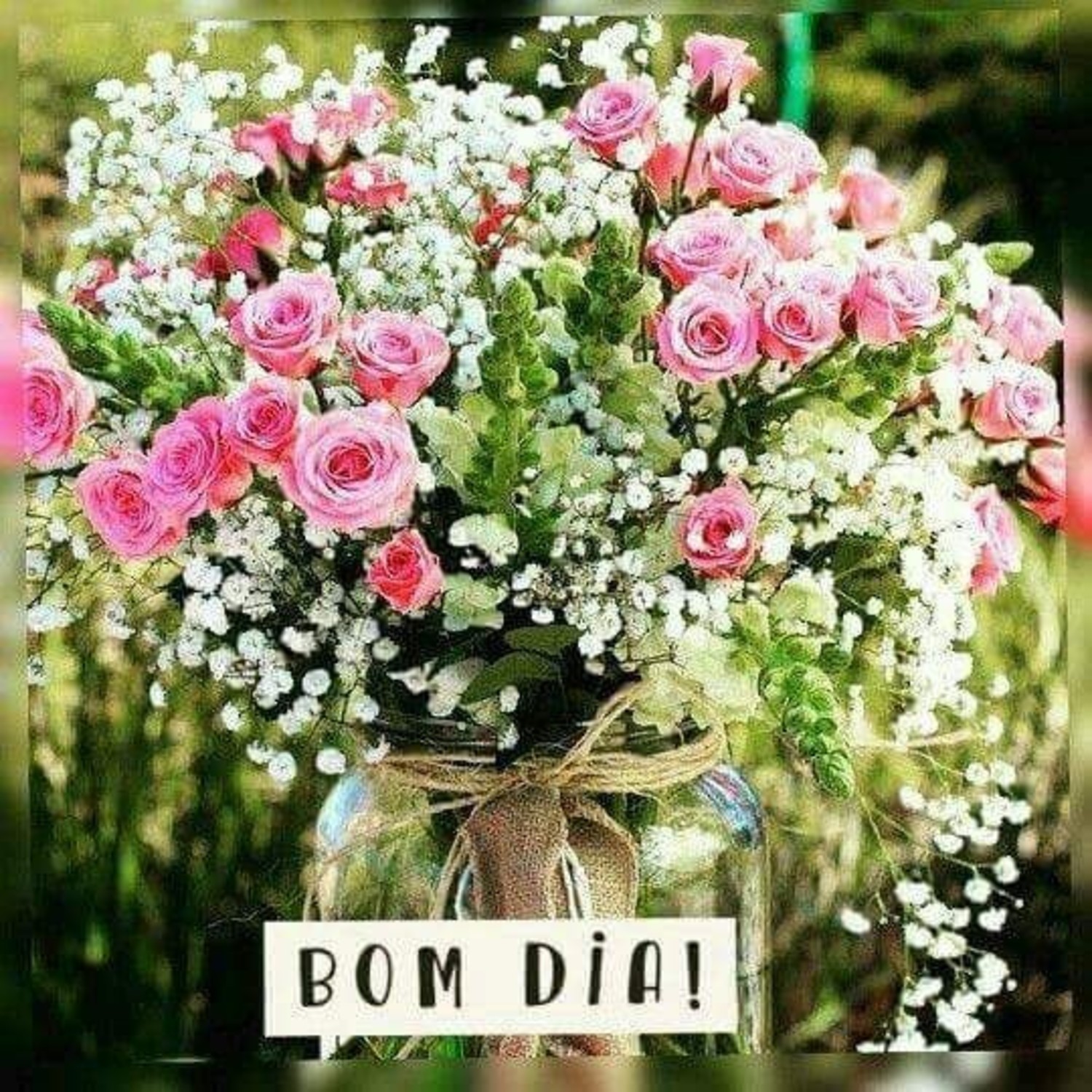 Bom Dia com flores 370