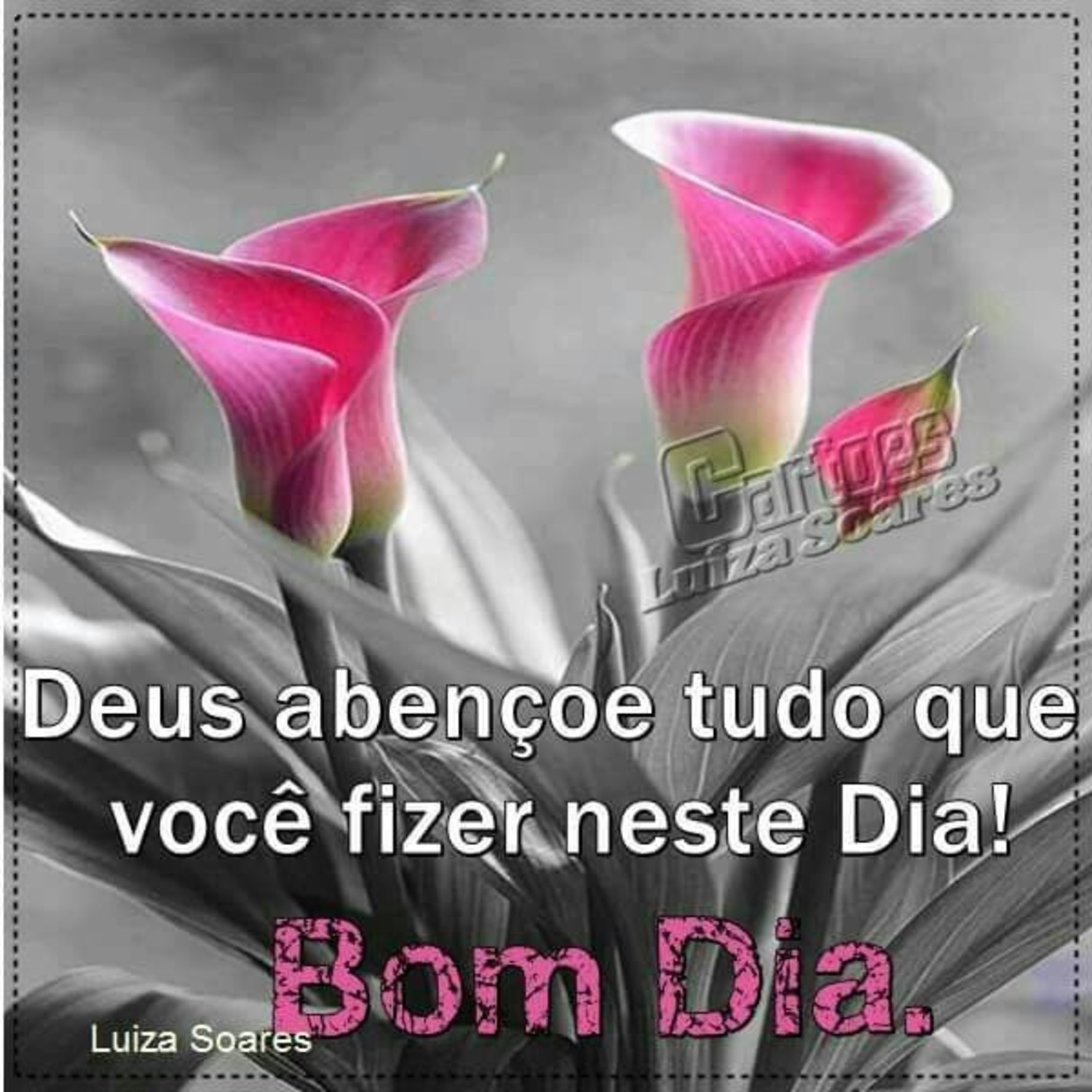 Bom Dia com flores imagens para enviar 105 Bom Dia com flores imagens para enviar 105
