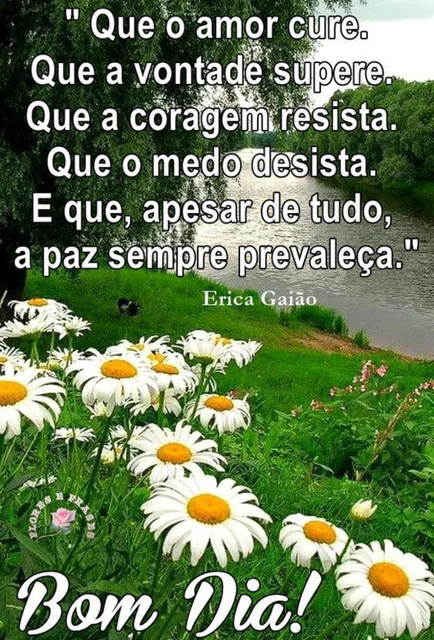 Bom Dia com flores imagens para enviar 144 Bom Dia com flores imagens para enviar 144