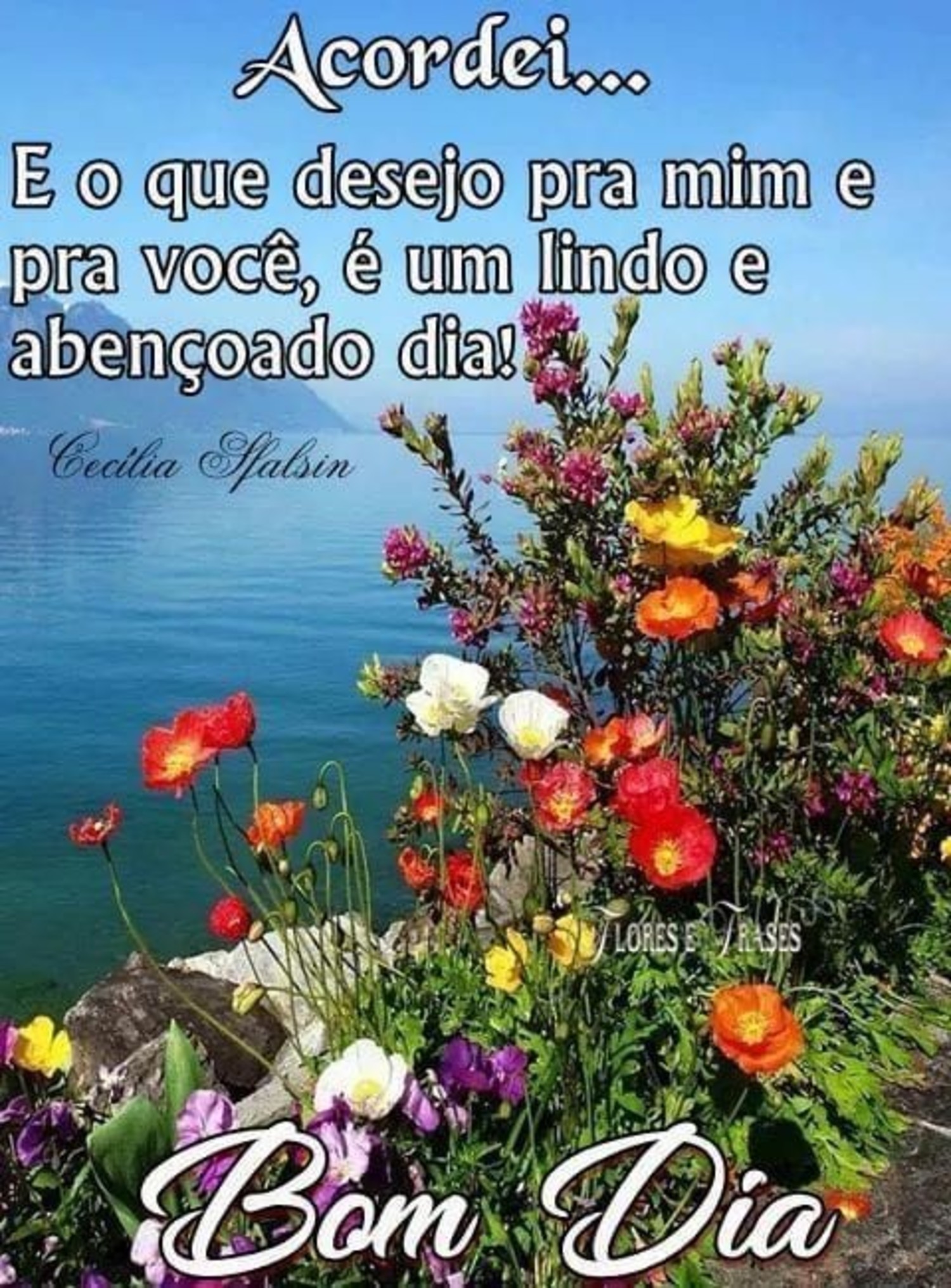 Bom-Dia-com-flores-imagens-para-enviar-3