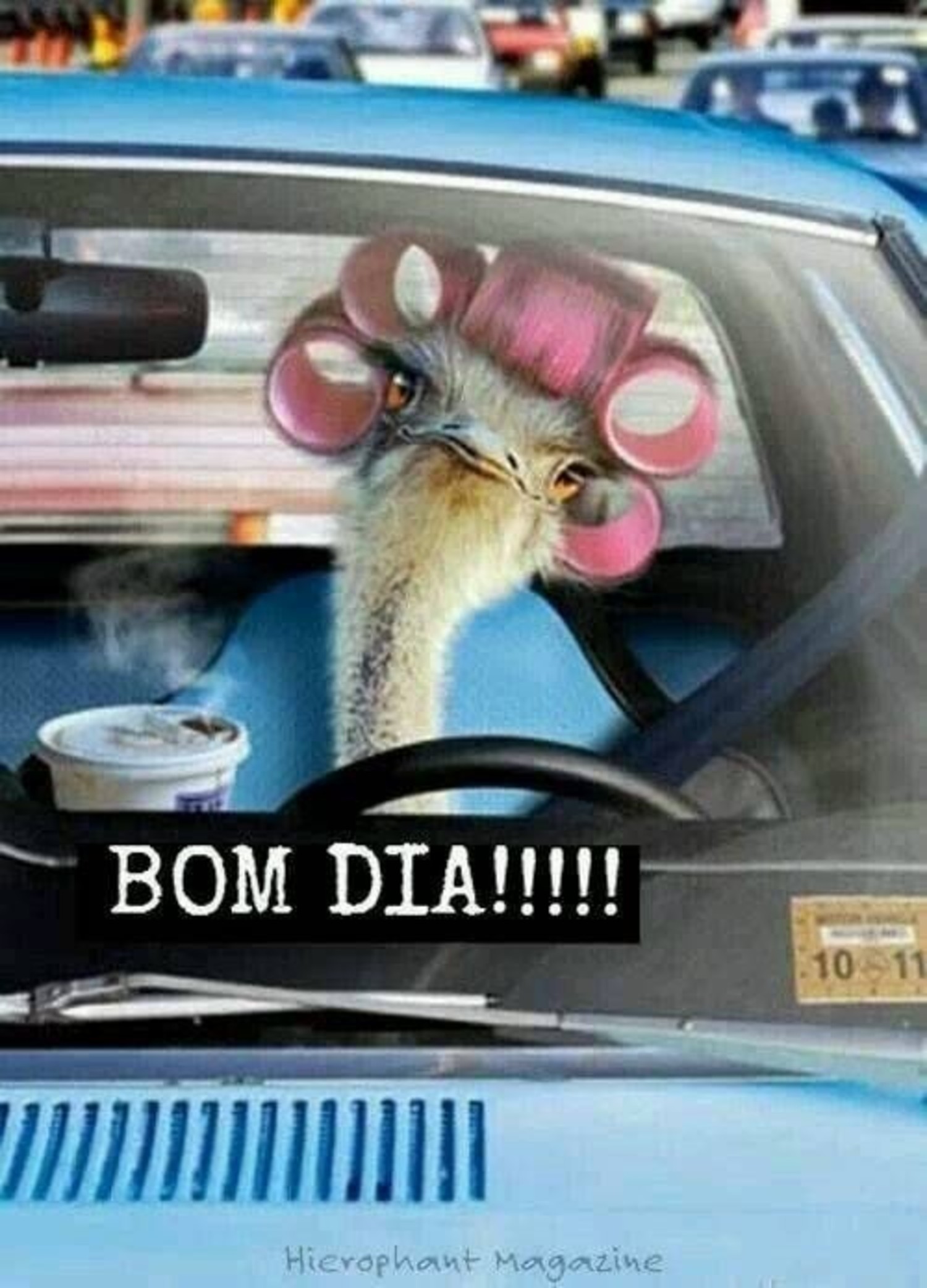 Bom Dia engraçado 53 Bom Dia engraçado 53