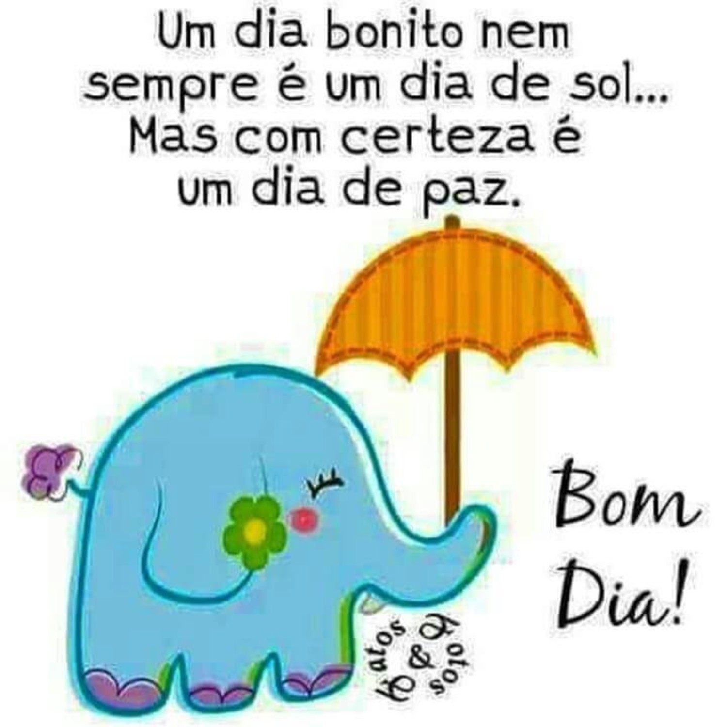 Bom Dia especial Bom Dia especial
