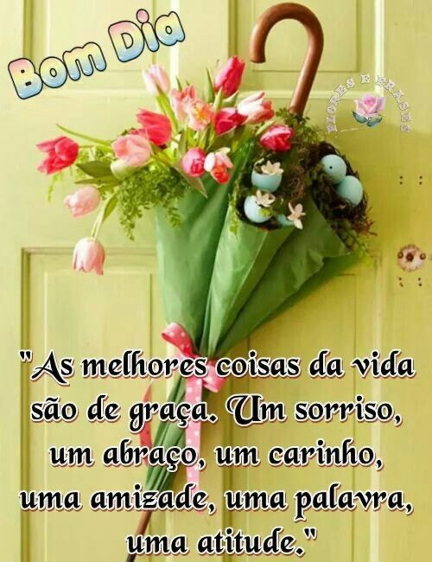 Bom Dia fotos 111