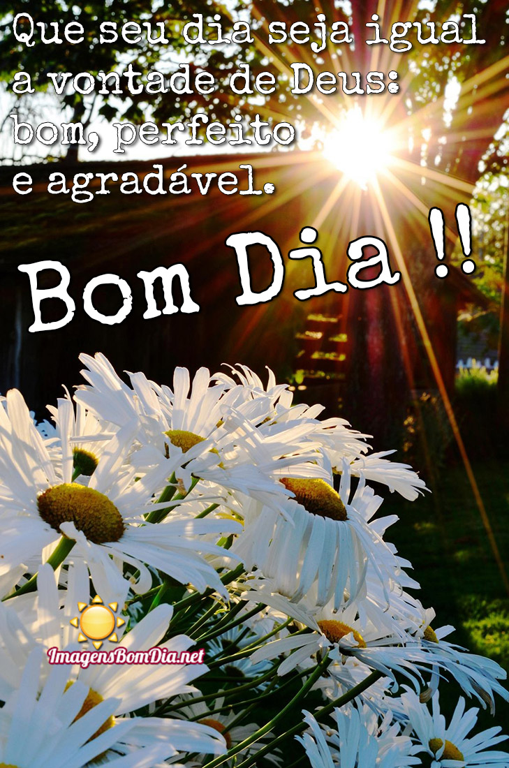 Bom Dia frases bonitas Pinterest