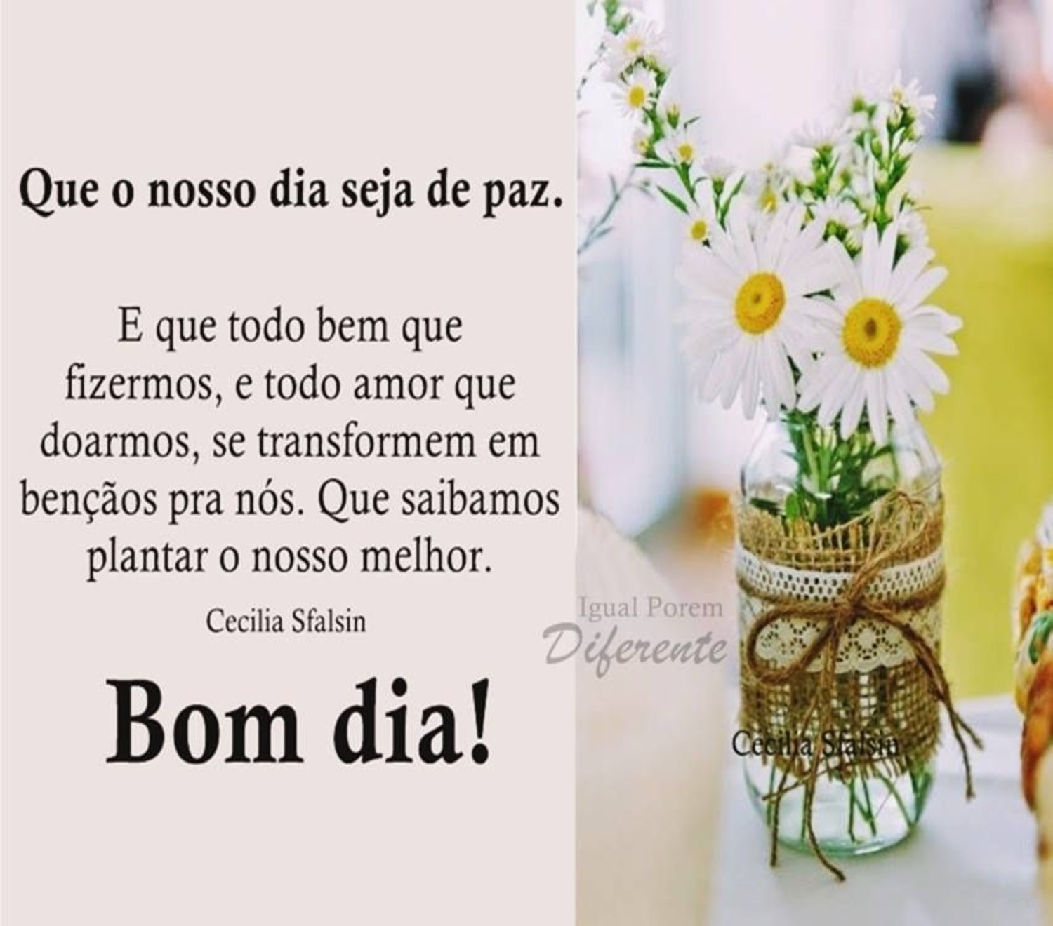 Bom Dia imagens grupo Facebook WhatsApp Bom Dia imagens grupo Facebook WhatsApp