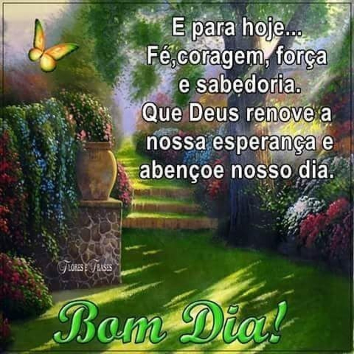 Bom Dia imagens grupo Facebook WhatsApp 445