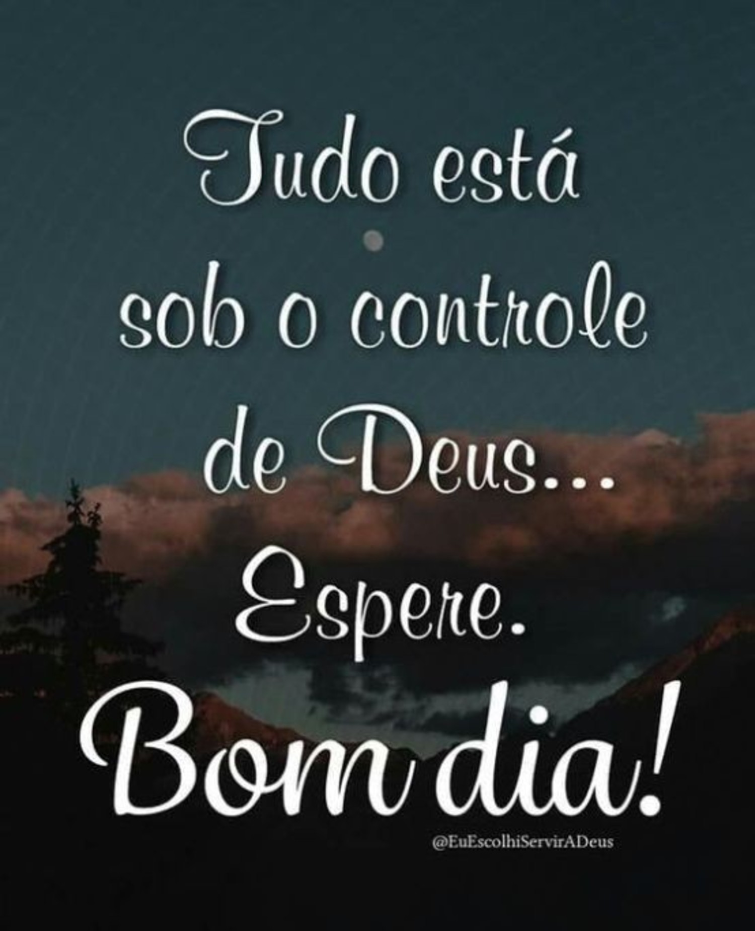 Bom Dia imagens grupo Facebook WhatsApp 446