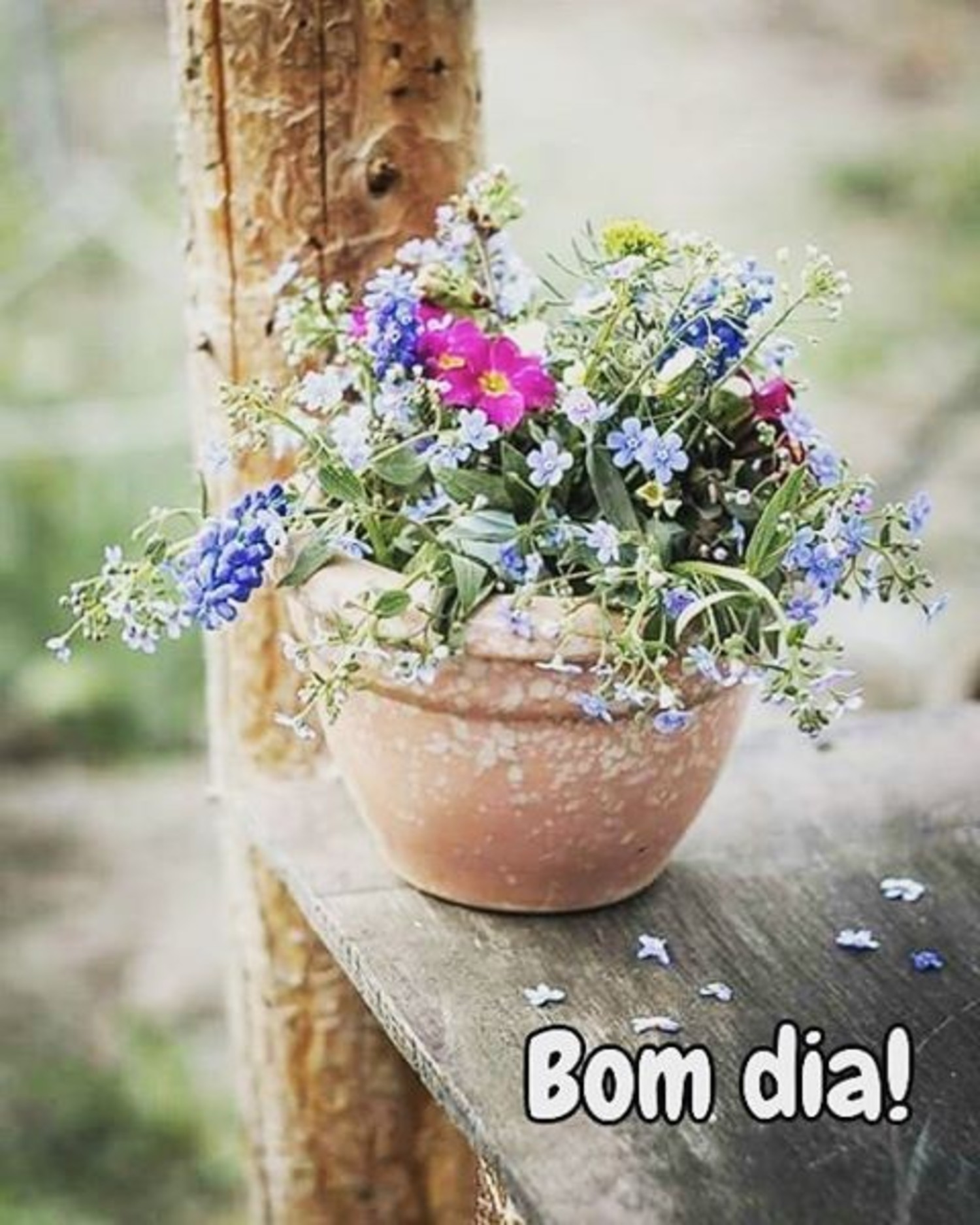 Bom Dia mensagens 123