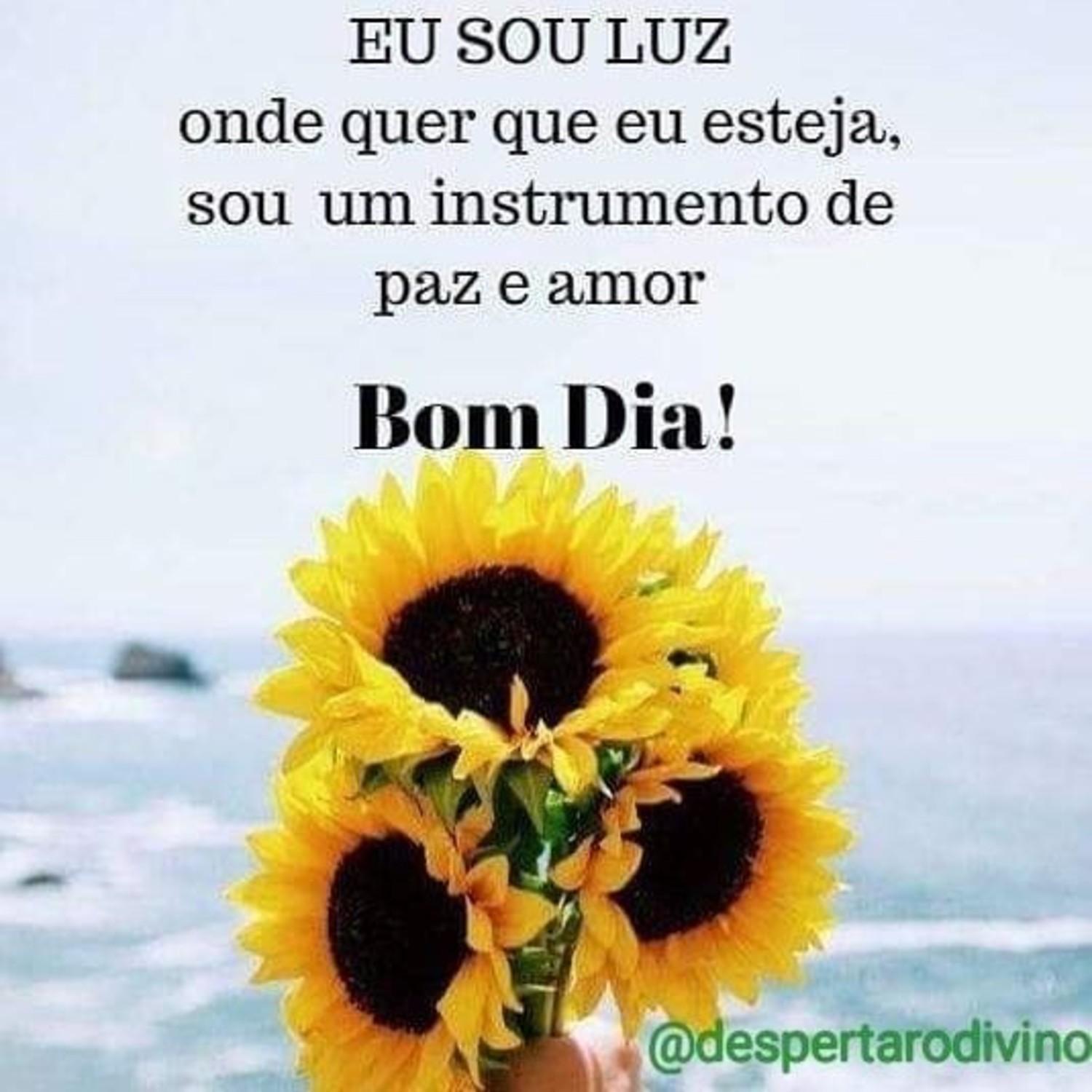 Bom Dia para compartilhar 381