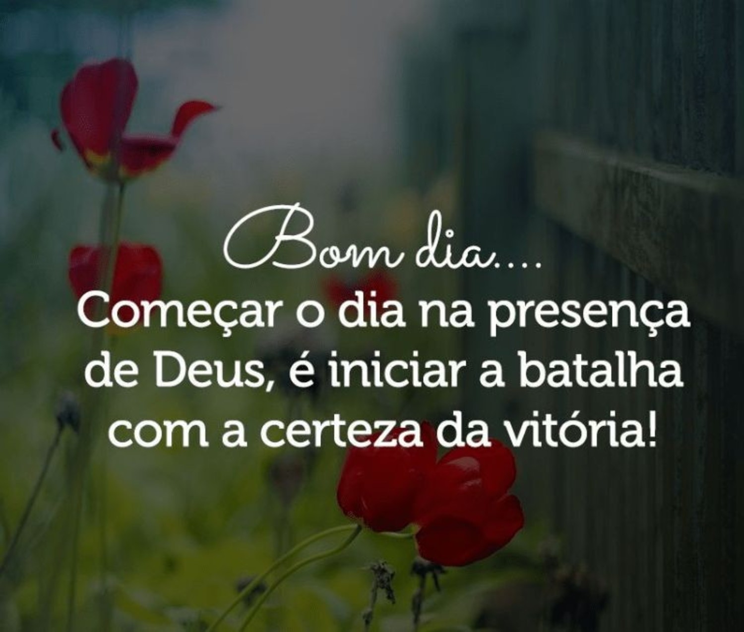 Bom Dia para compartilhar 386