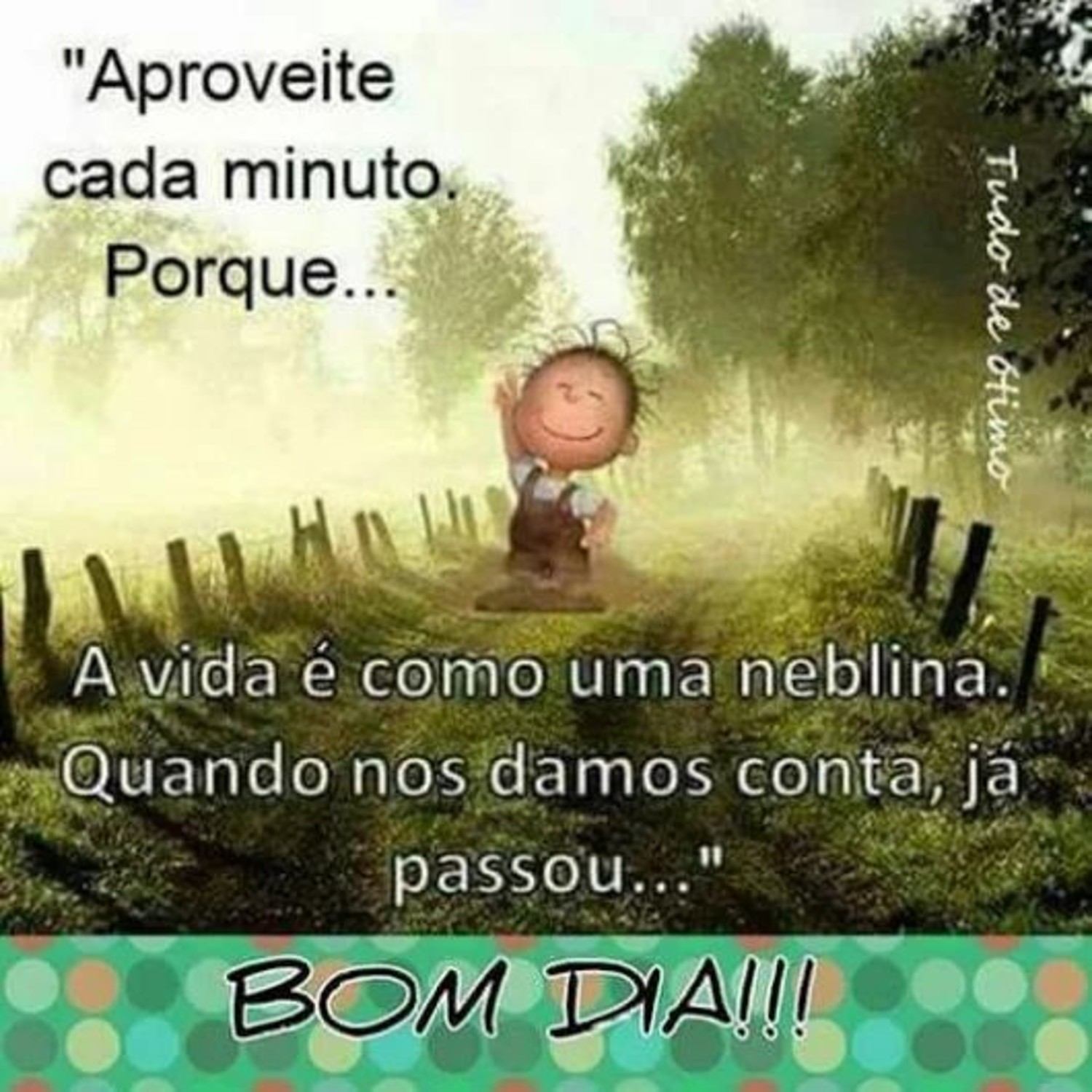 Bom Dia para compartilhar 39