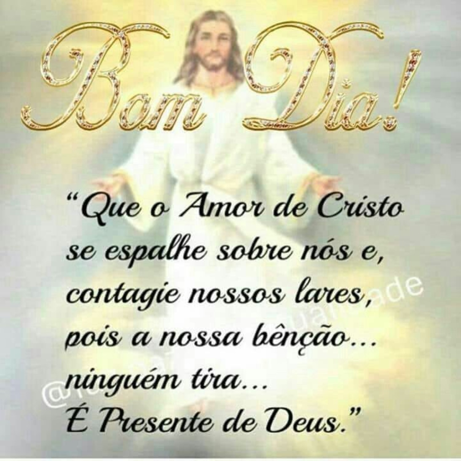 Bom Dia para compartilhar com os amigos 256