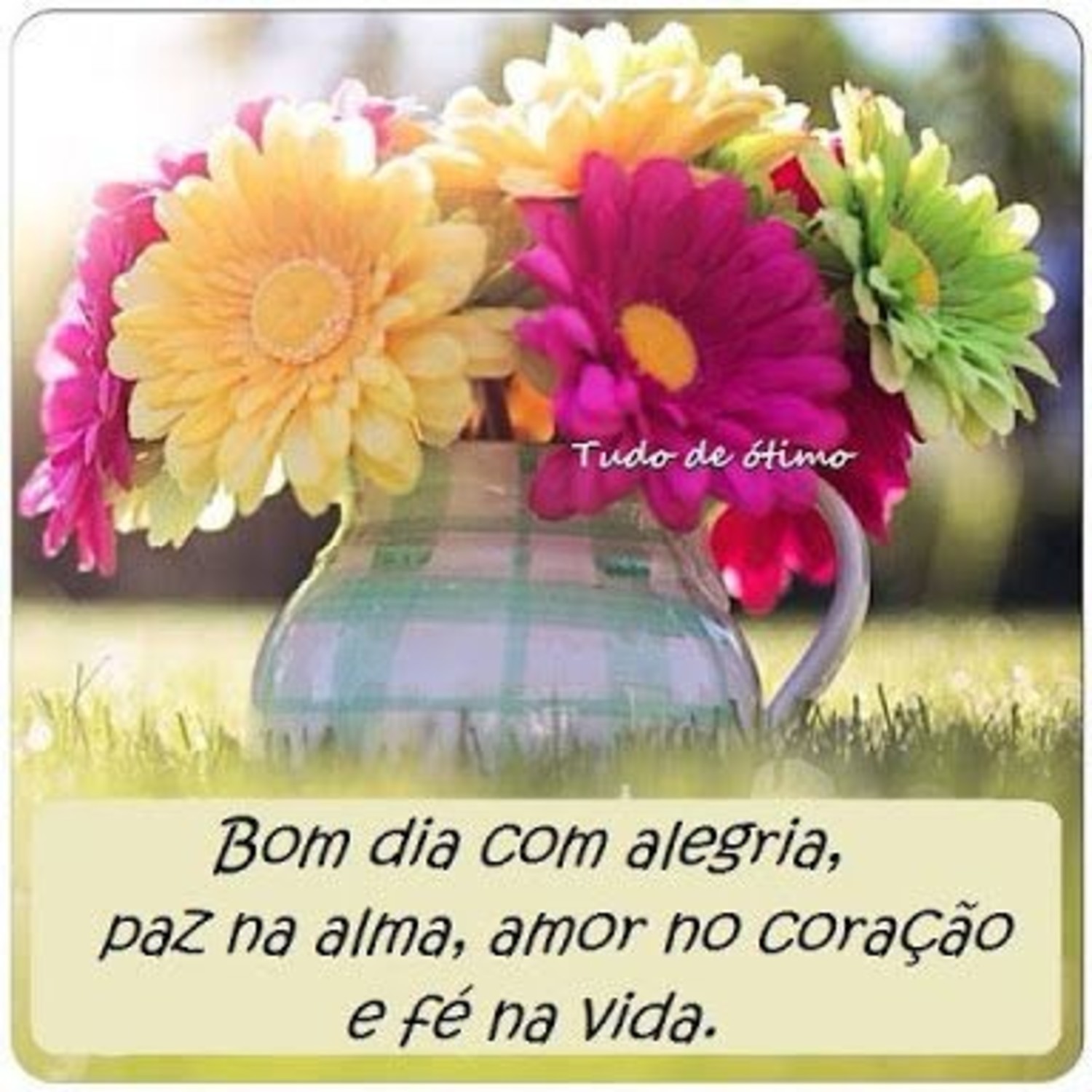 Bom Dia para compartilhar com os amigos 257