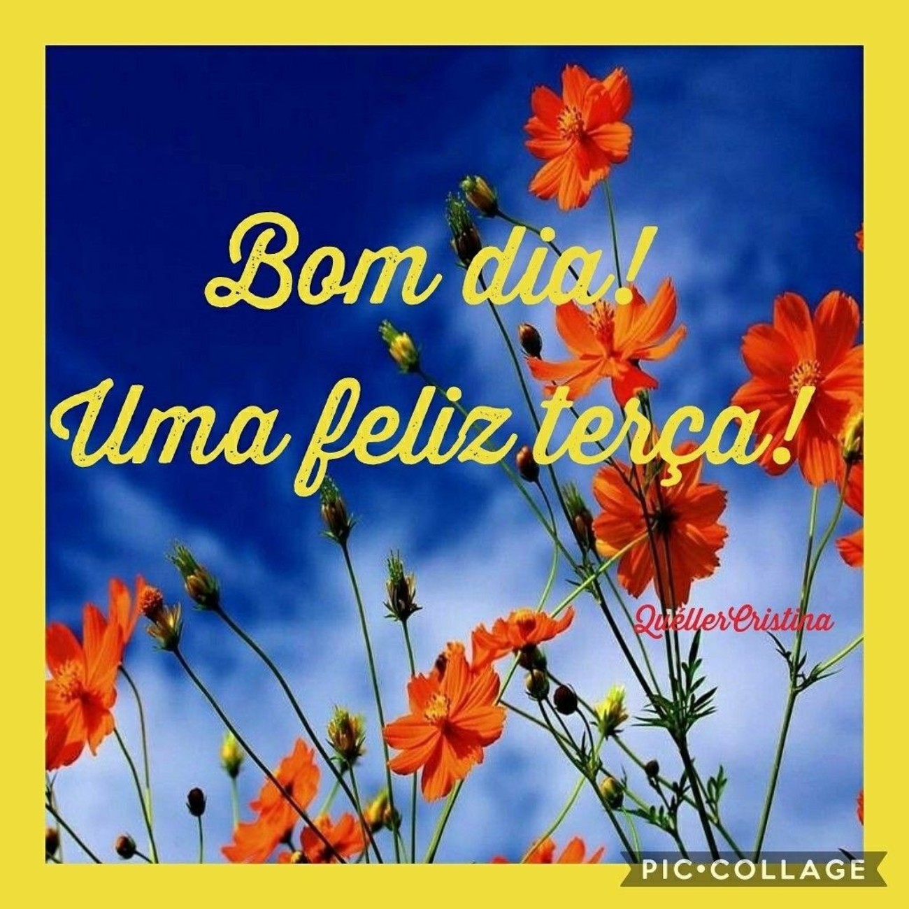 Bom Dia uma Feliz Terça 181