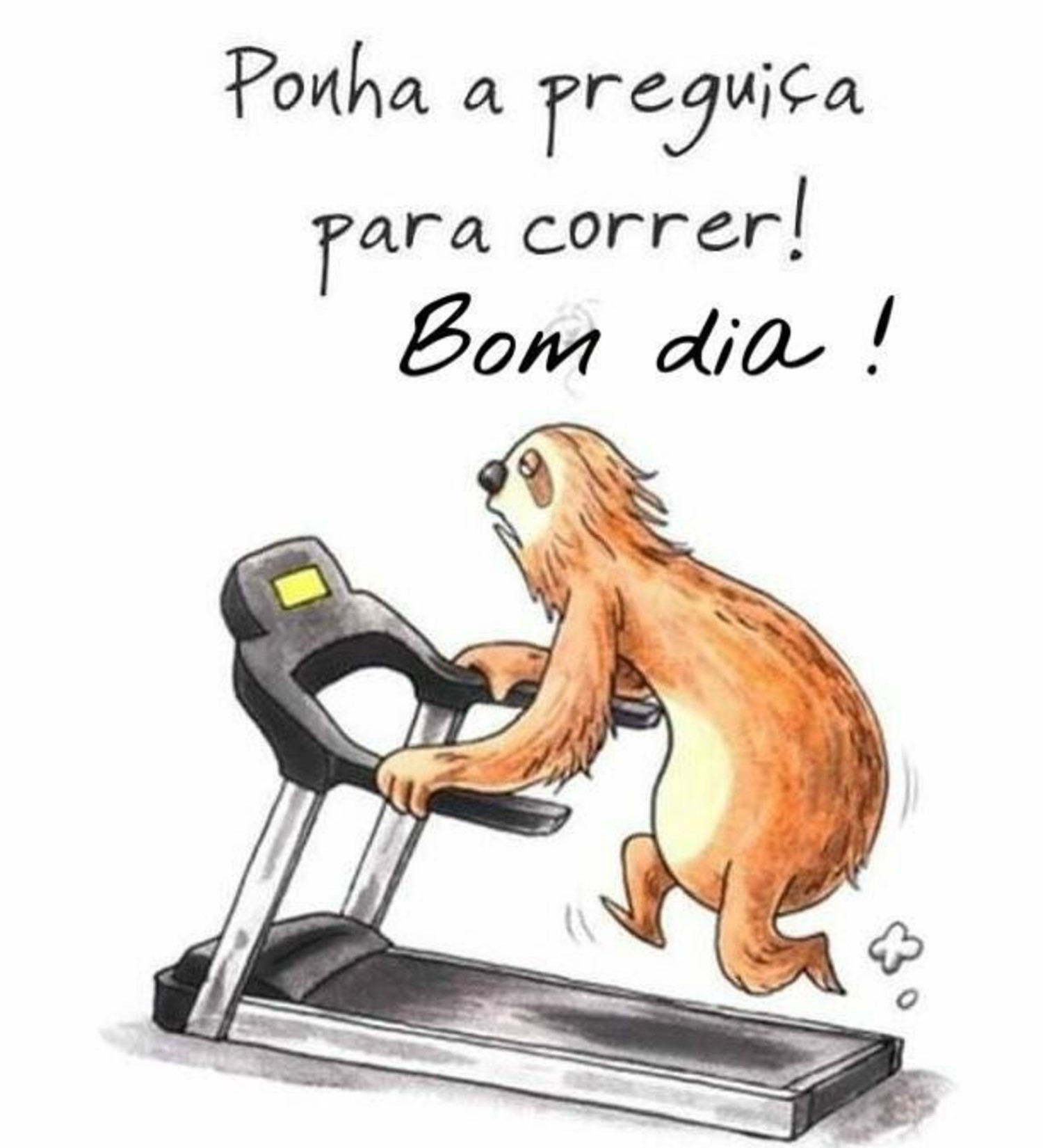 Bom Dia whatsapp engraçado Bom Dia whatsapp engraçado