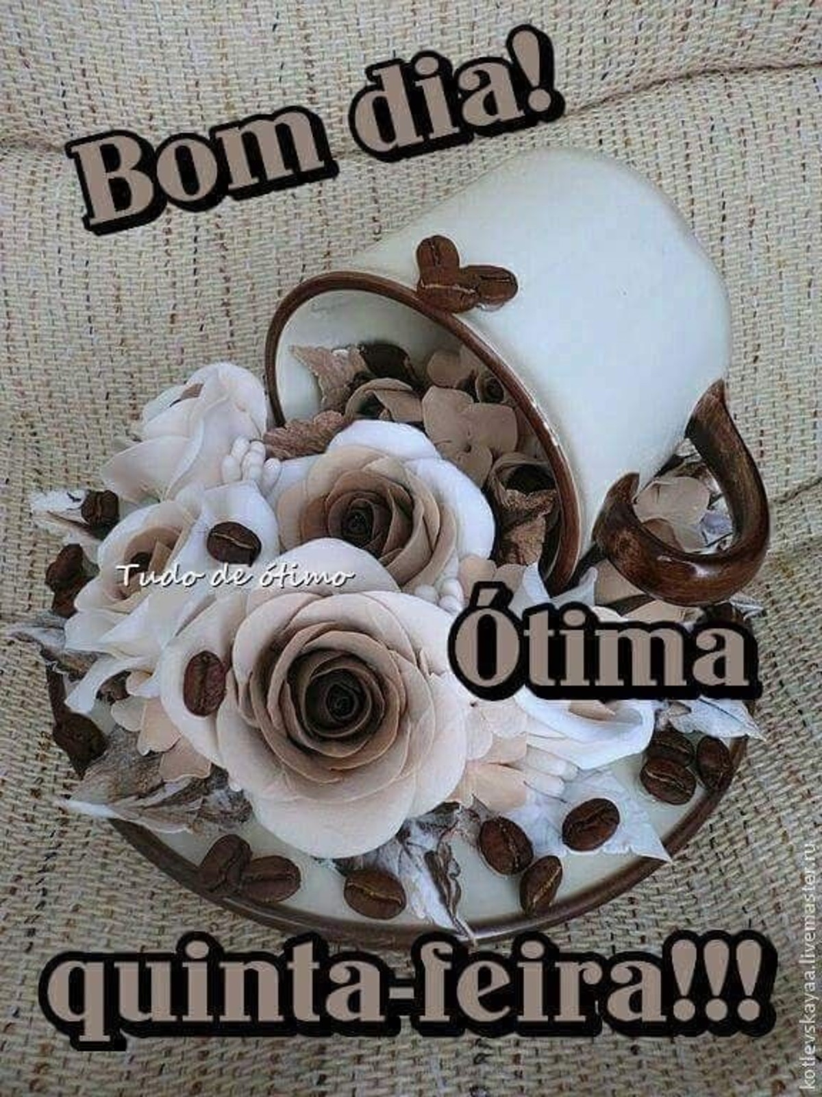 Bom Dia Ótima Quinta feira 189