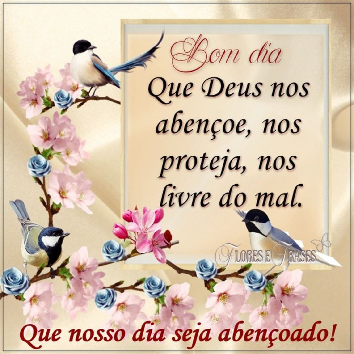 Bom dia abençoado lindas mensagens 295 Bom dia abençoado lindas mensagens 295