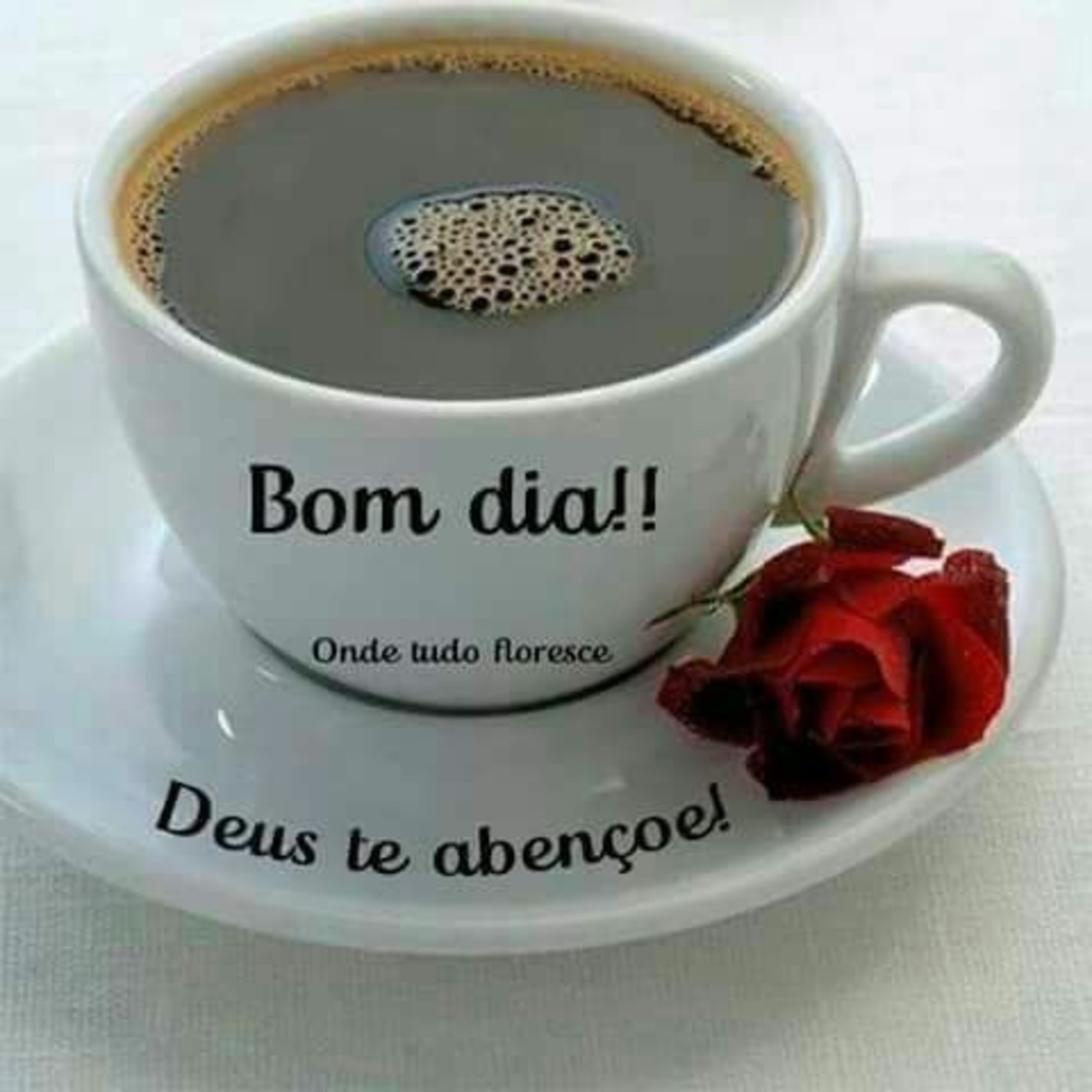 Bom dia abençoado 45